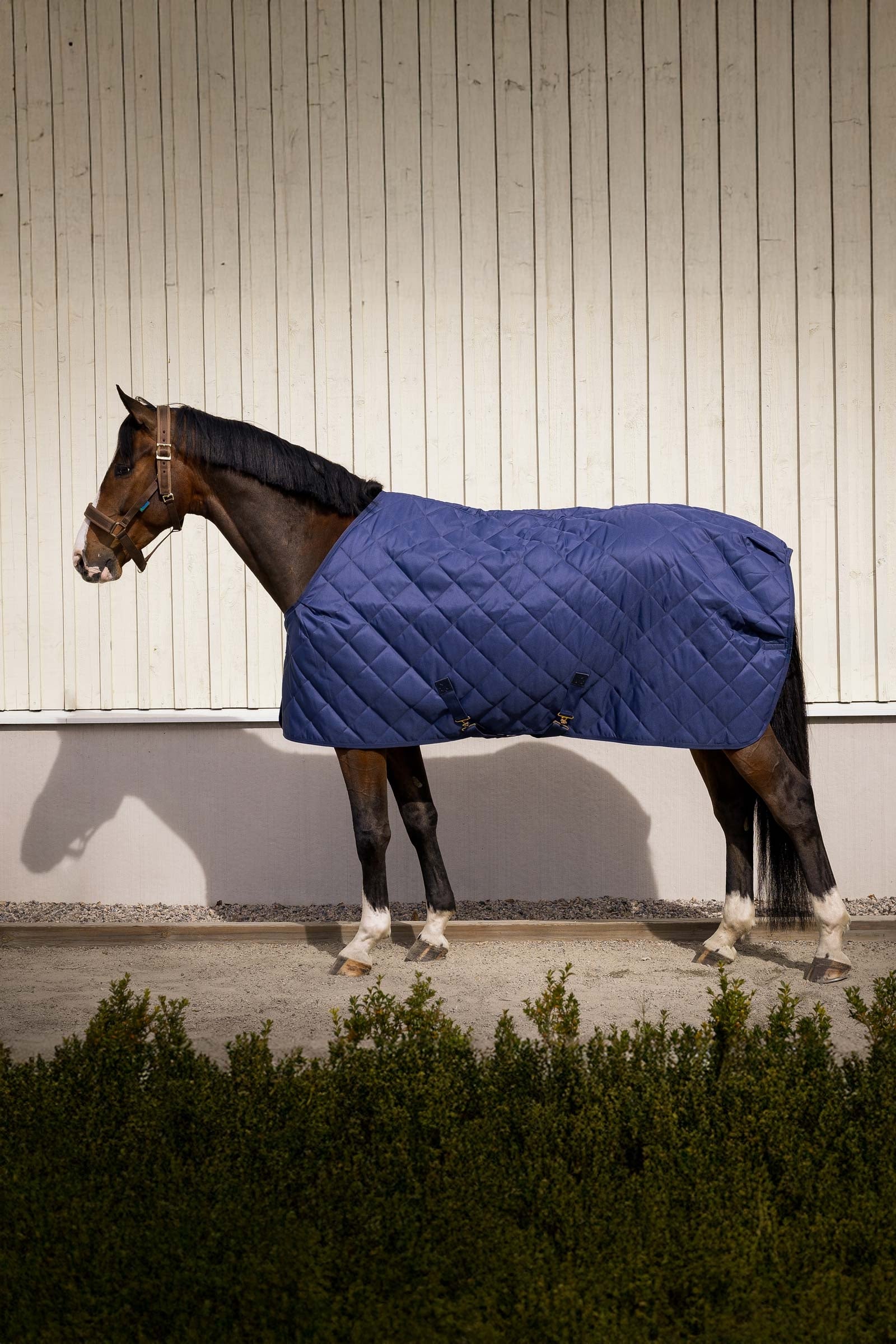 Bucas Cosy Stable Rug Lótakarók