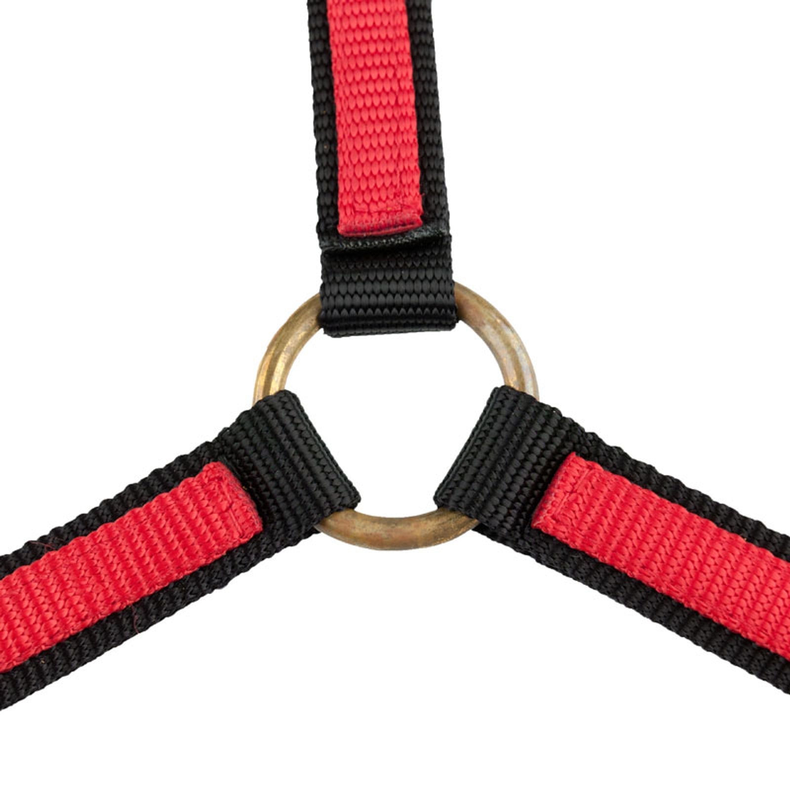 Finntack Yankee nylon kötőfék állítható orrszíjjal (20 mm) Kötofékek & Vezetoszárak