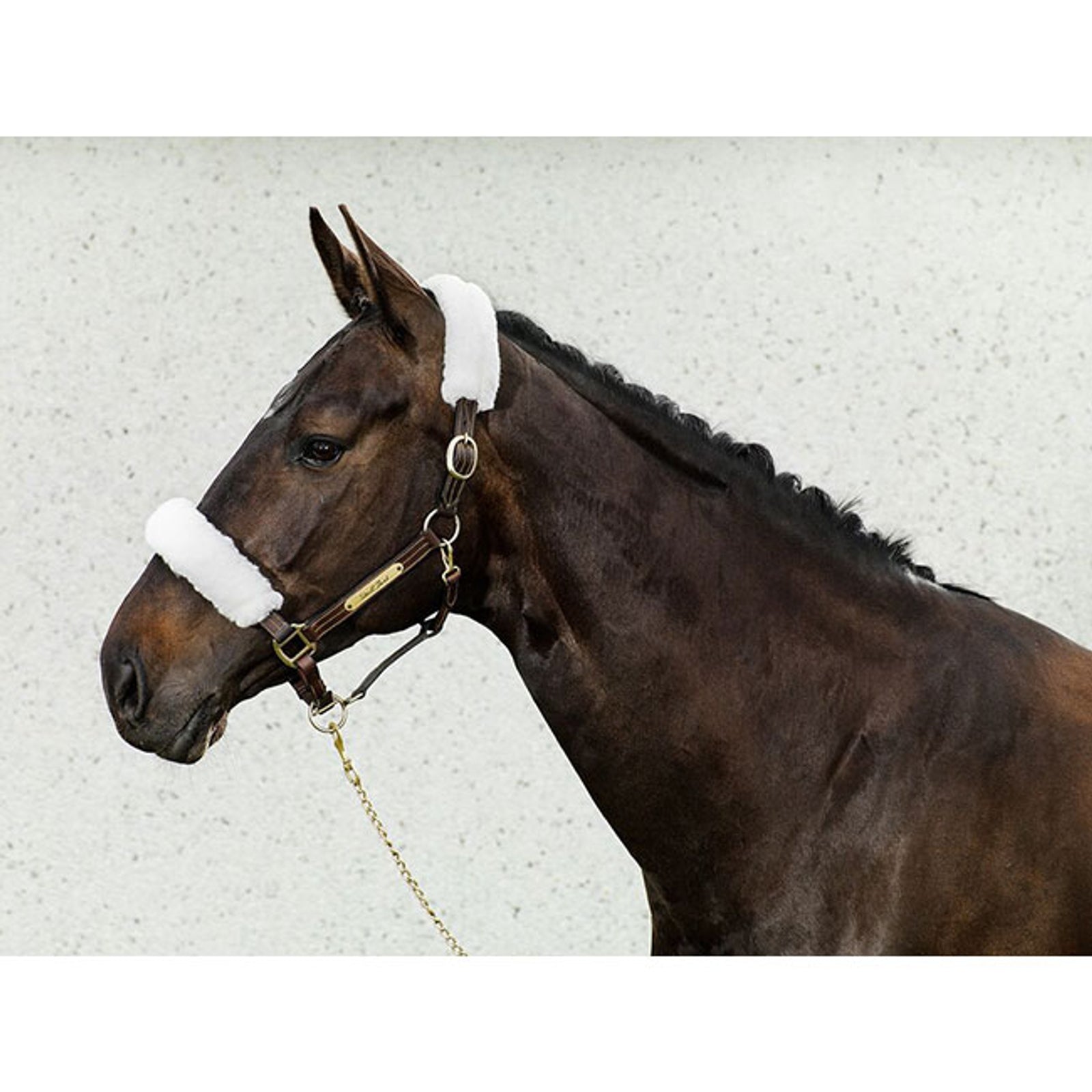 Back on Track Kötőfék Védő Kötofékek & Vezetoszárak