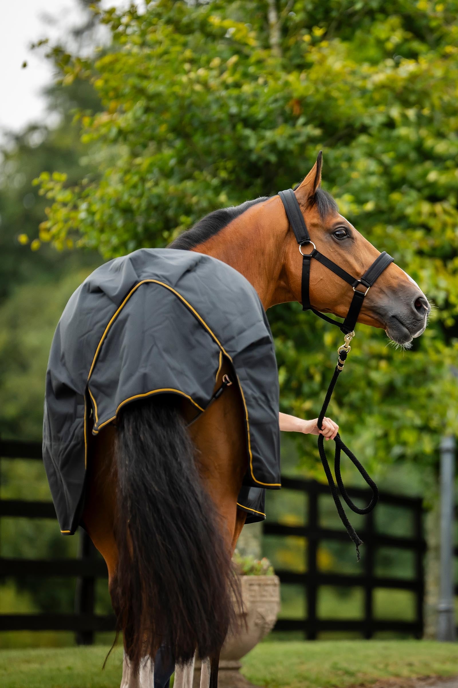 Bucas Irish Turnout Rug, 300g Horse Rugs