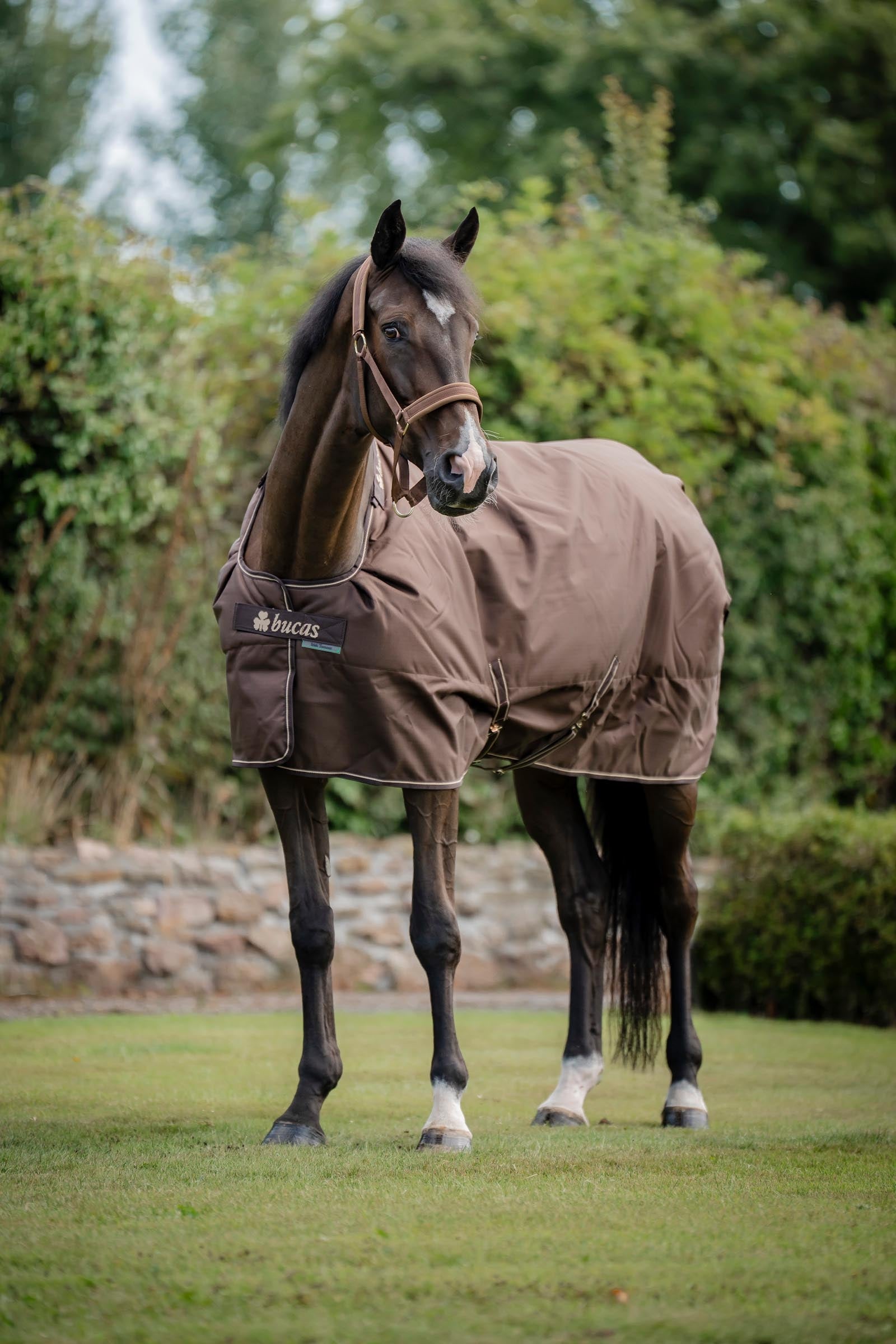 Bucas Irish Turnout Rug, 300g Horse Rugs
