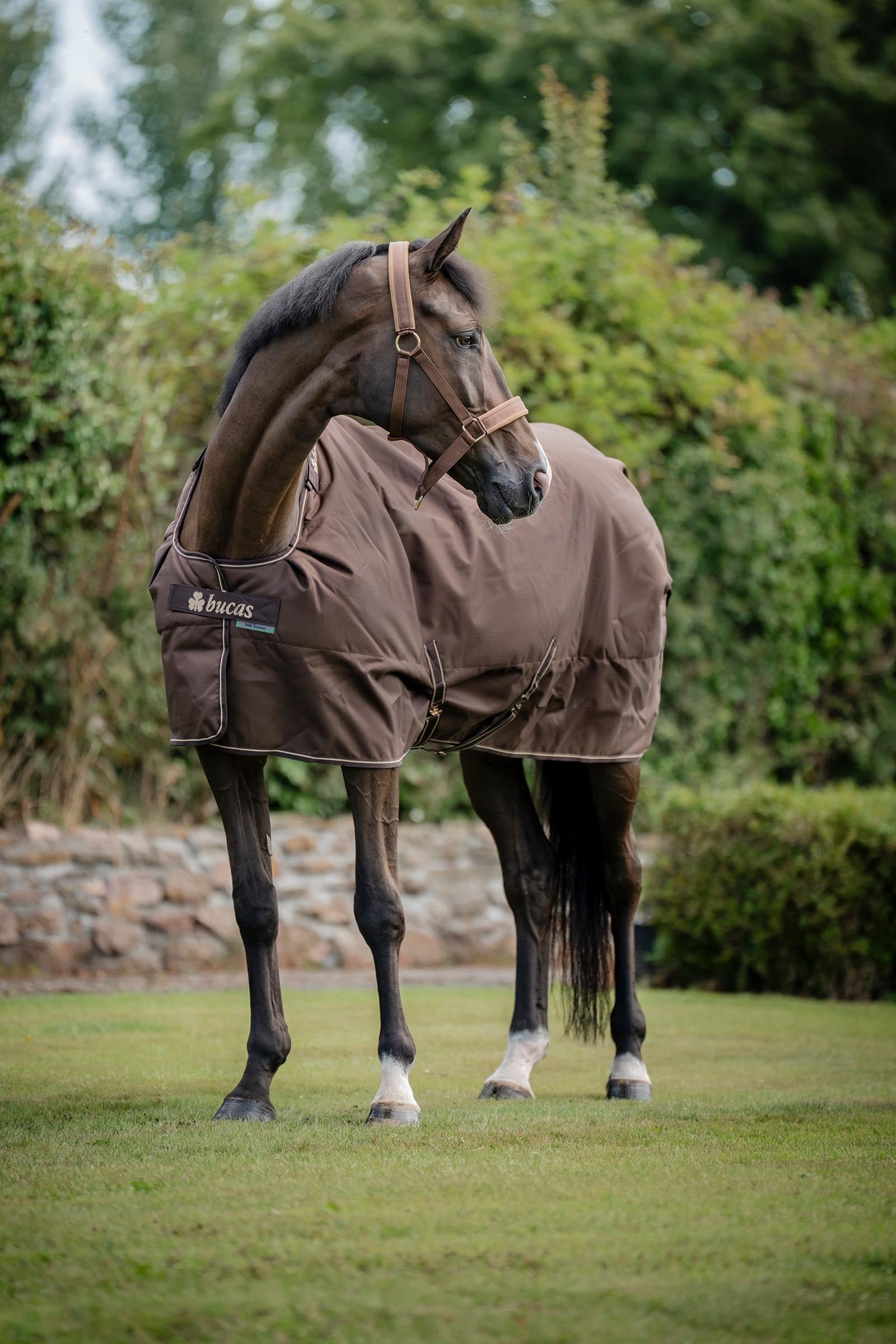 Bucas Irish Turnout Rug, 300g Horse Rugs