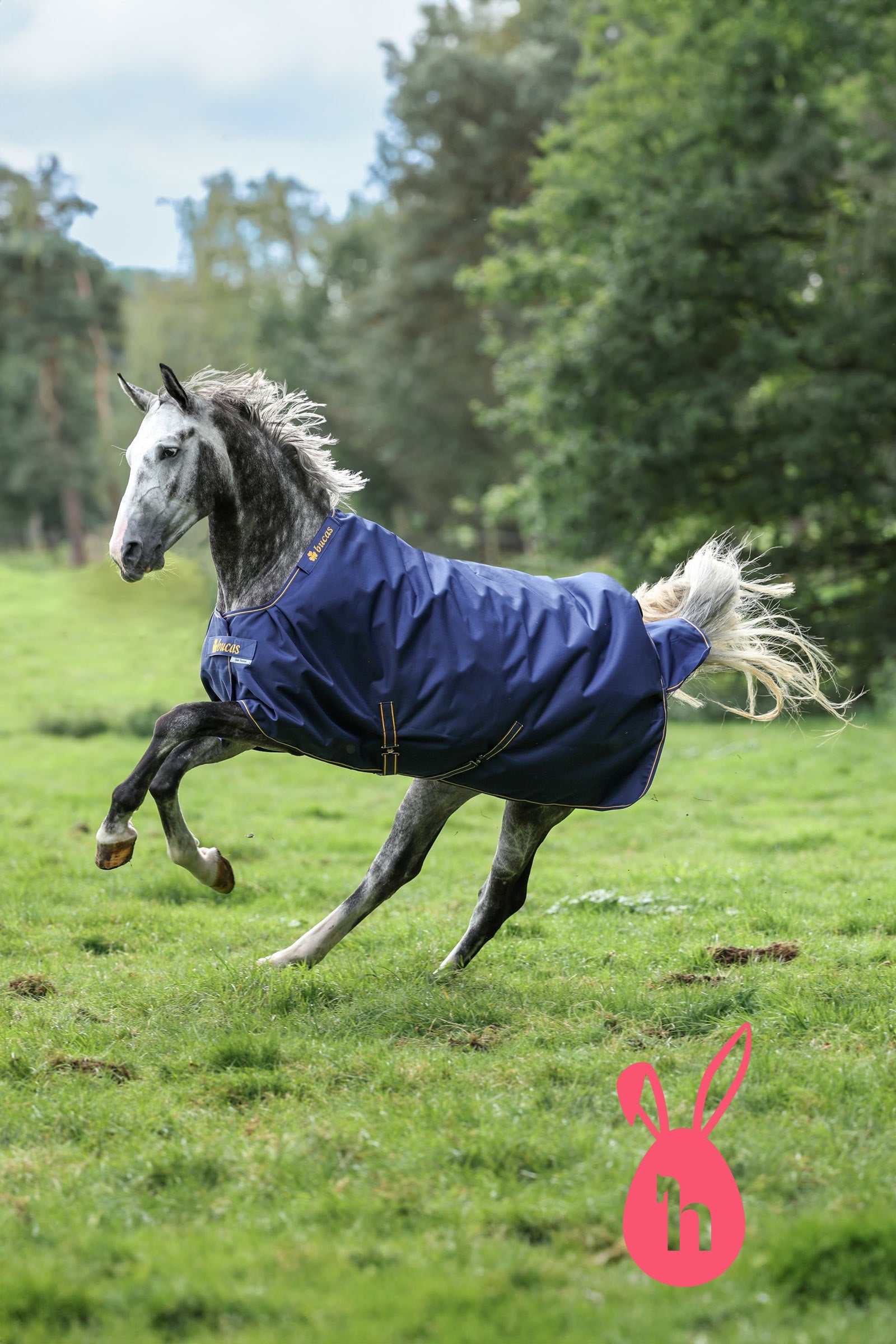 Bucas Irish kültéri takaró, 50g Lótakarók