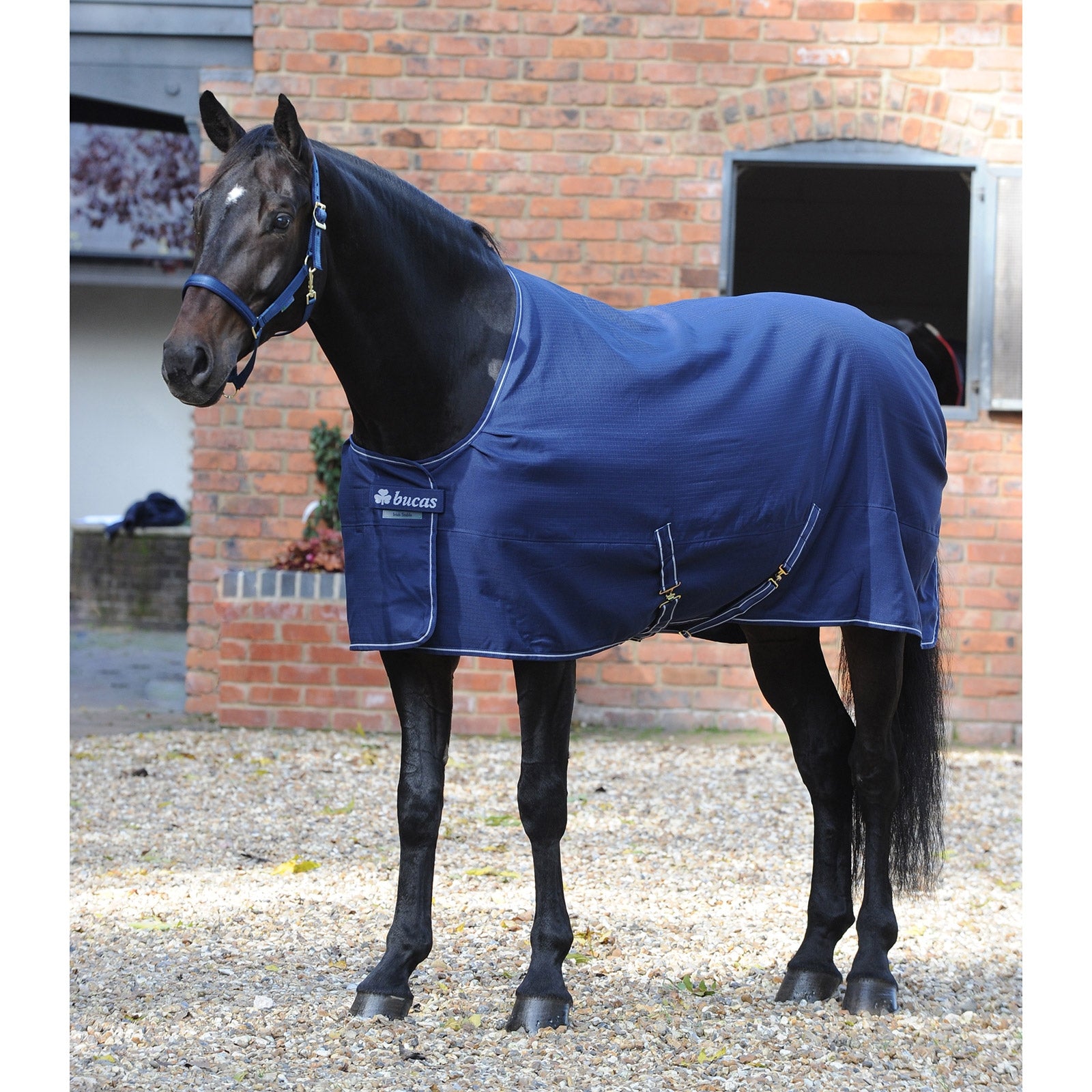 Bucas Irish Istálló takaró, Light Lótakarók