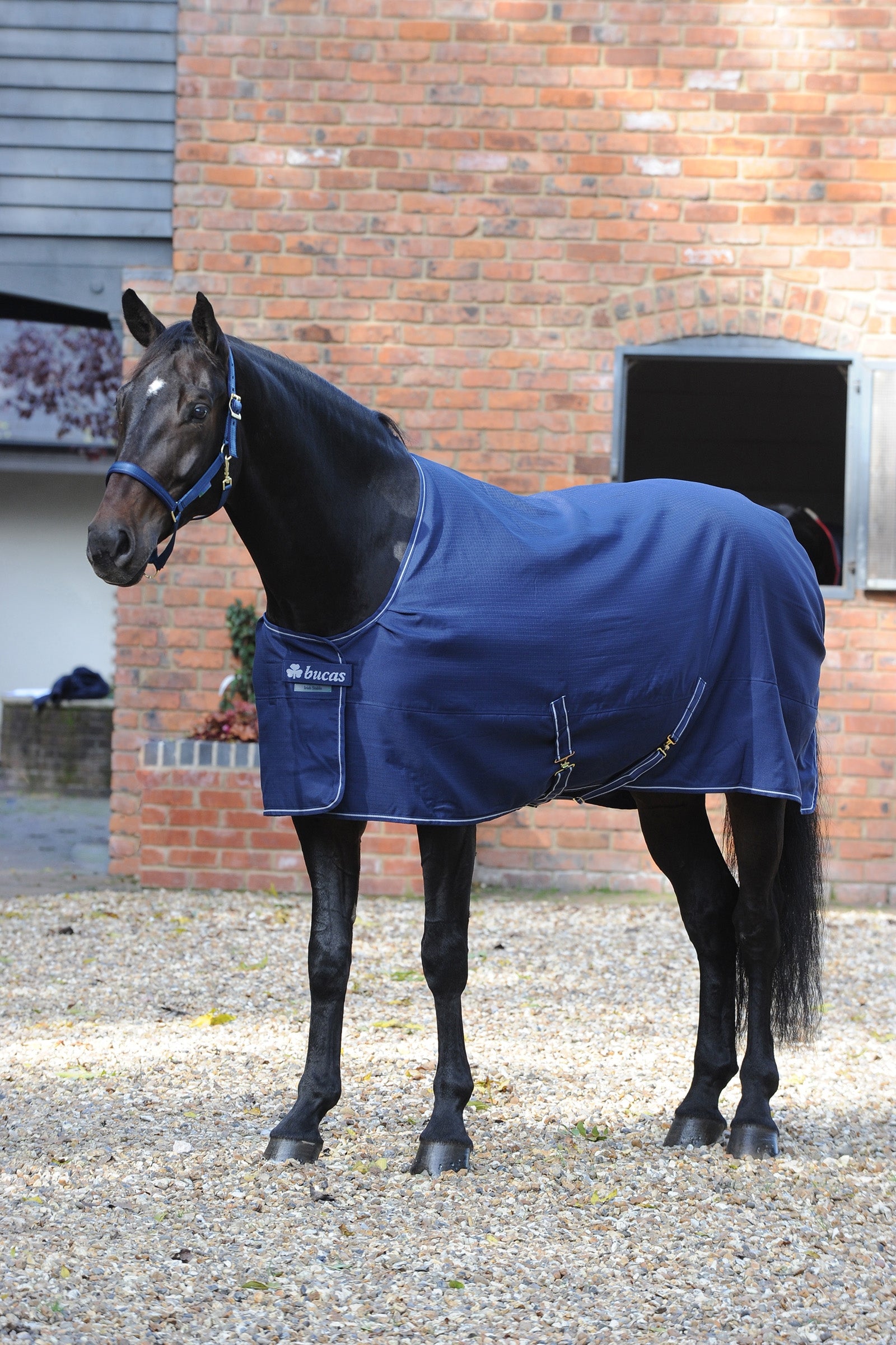 Bucas Irish Stable blanket, Light Horse Rugs