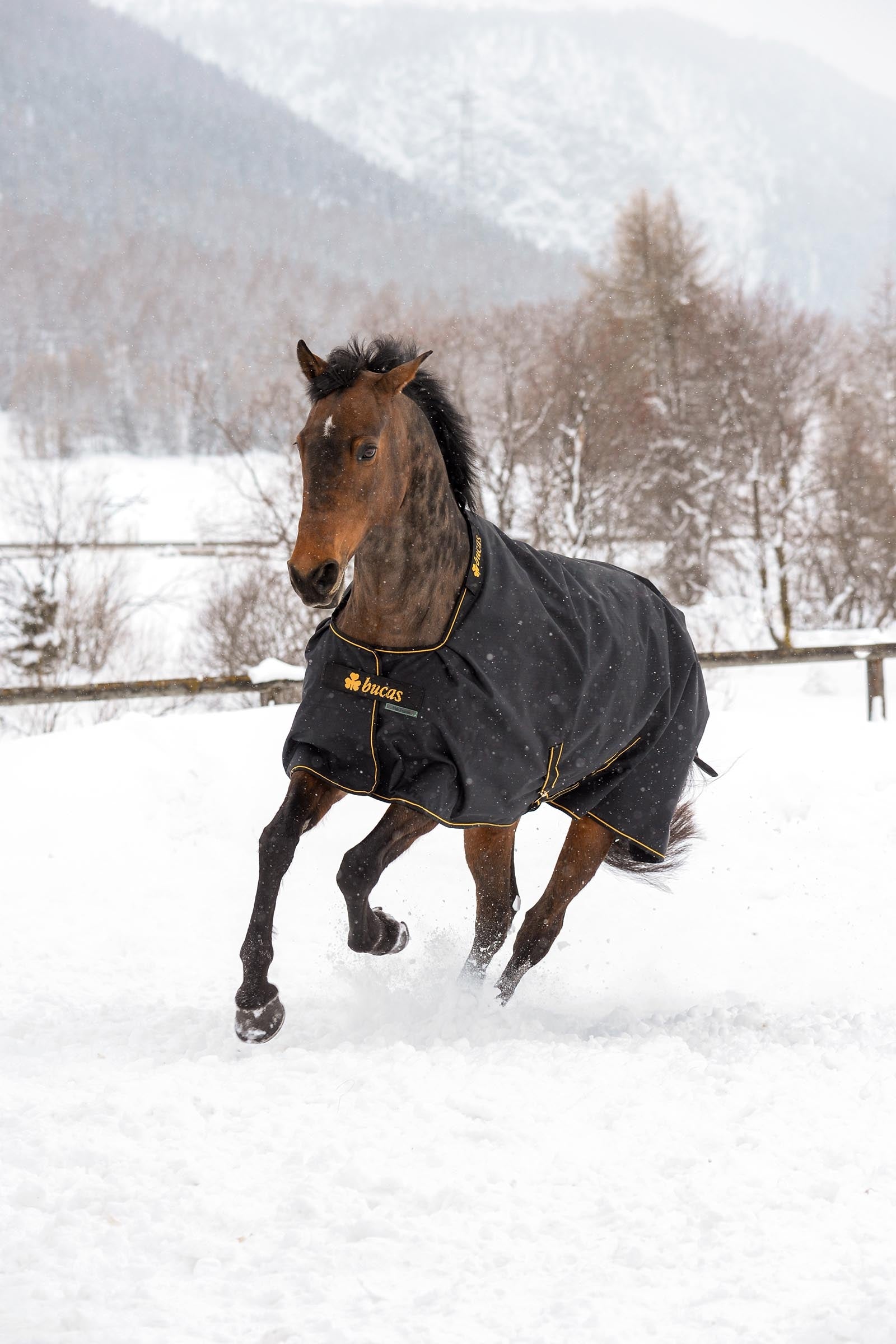 Lifestyle shot 3