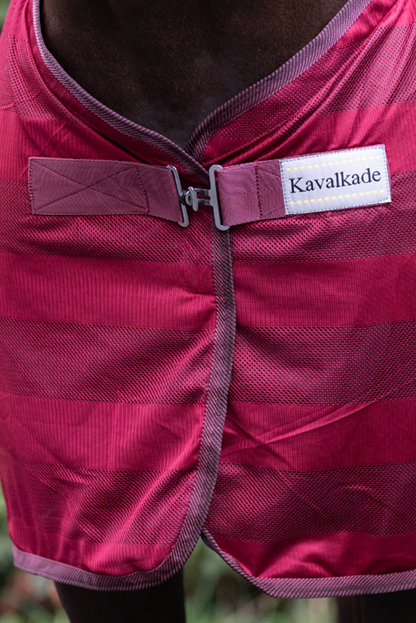 Alt Tag fallback text for IMAGE