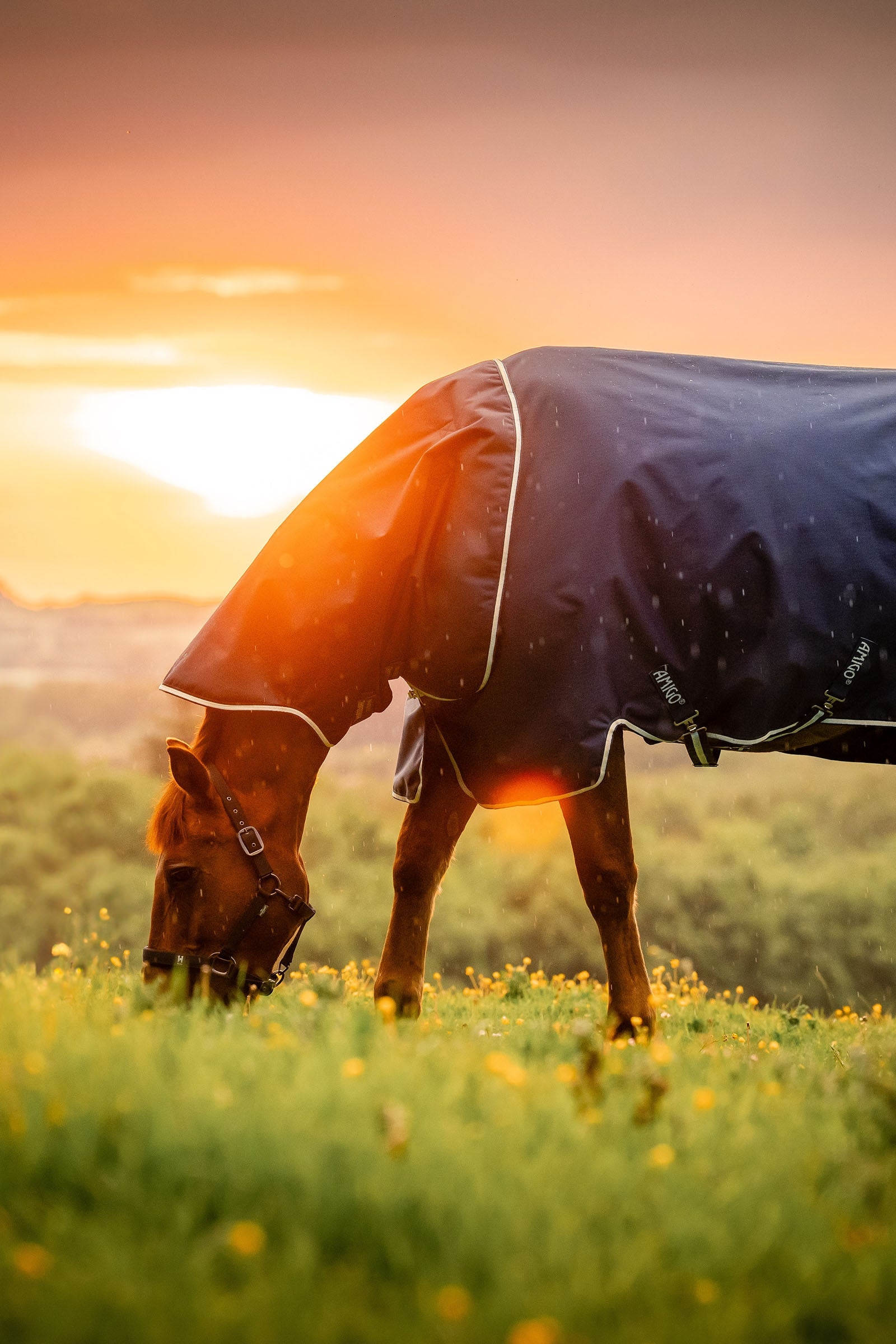 Horseware Amigo Ripstop 900D Plus Turnout Rug With Detachable Neck, 0 g Lótakarók