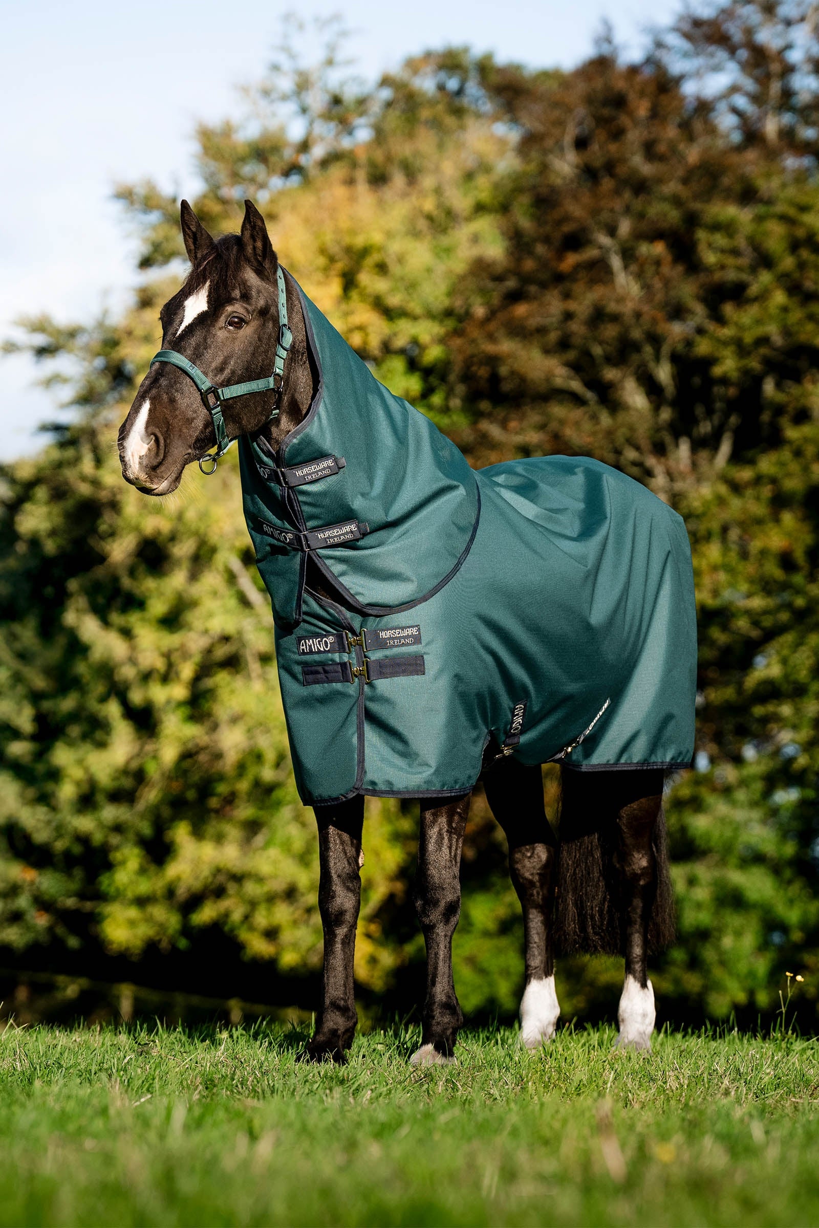 Horseware Amigo Ripstop 900D Plus Turnout Rug With Detachable Neck, 0 g Lótakarók