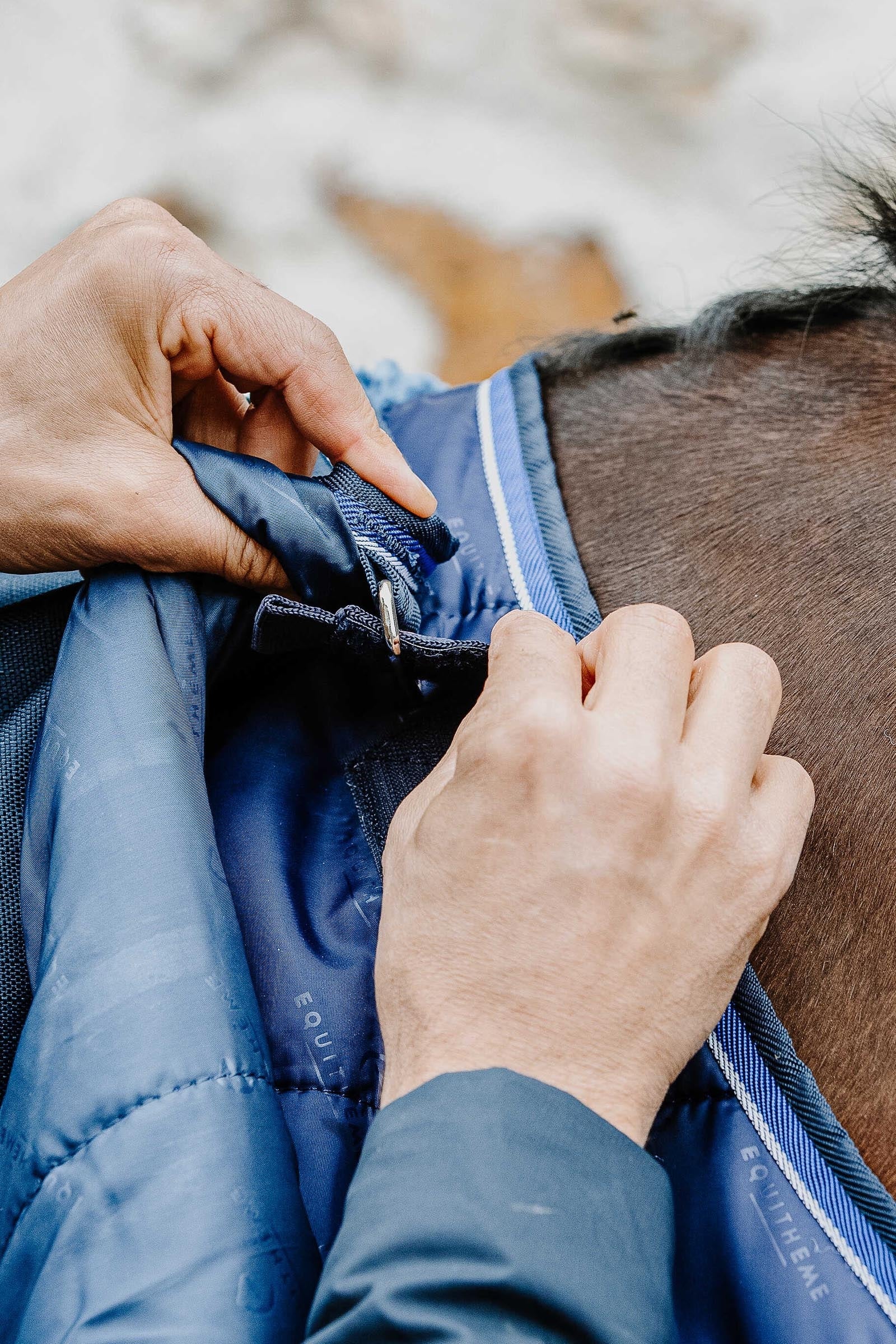 EQUITHÈME Classic Under Rug, 50 g Horse Rugs