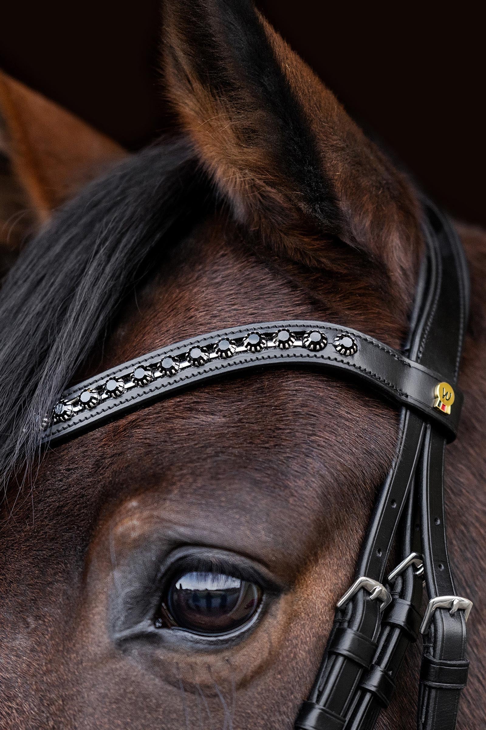Waldhausen S-Line Blackshine Bridle Patent Leather Bridles & Reins