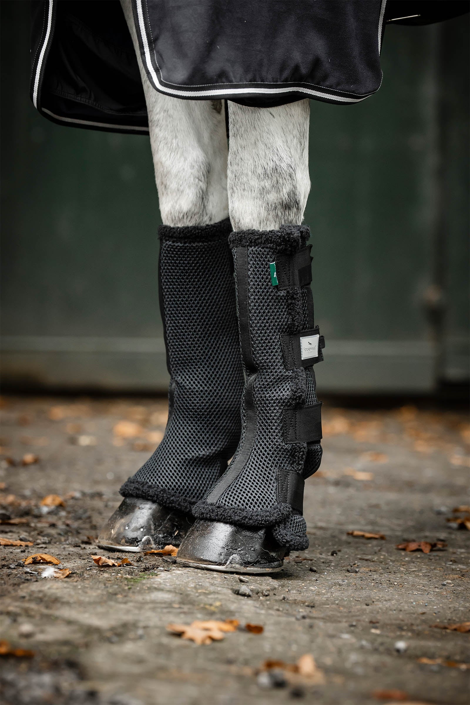Horseware Show Ready fáslik Leg Protection & Hoof Protection for Horses