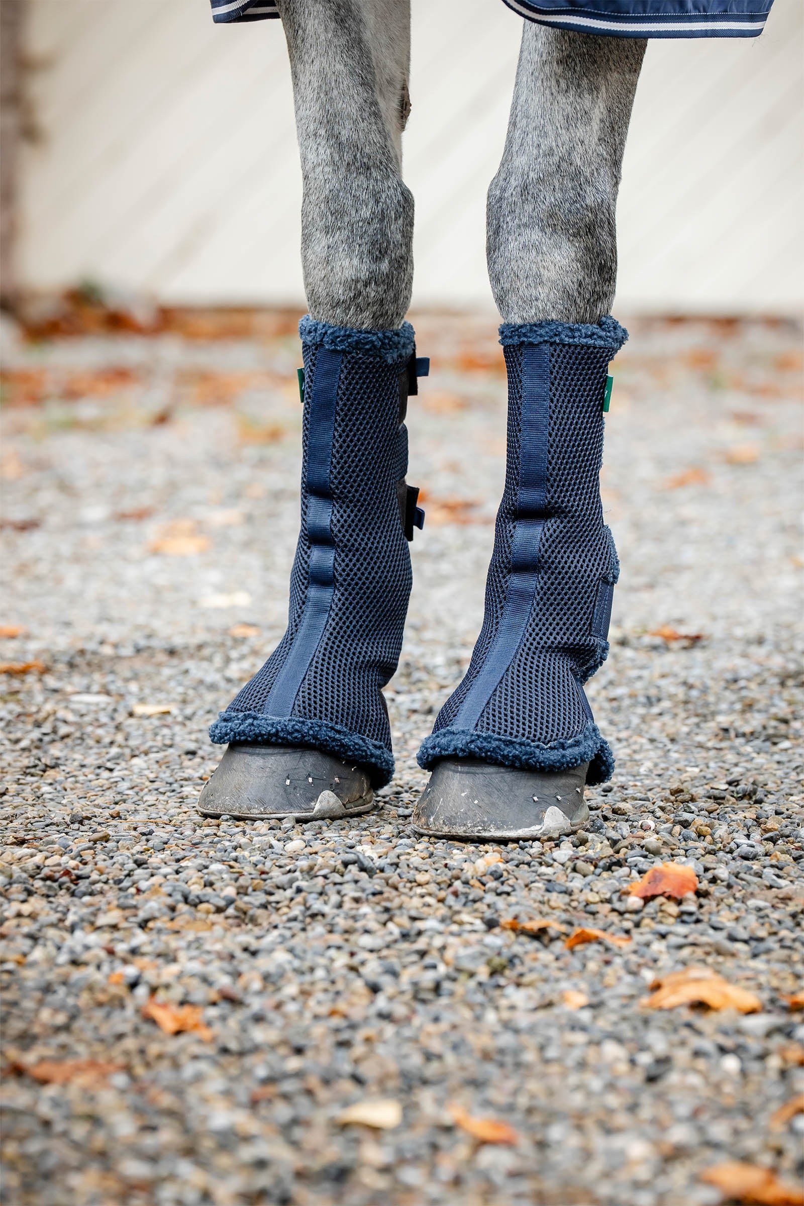 Horseware Show Ready fáslik Leg Protection & Hoof Protection for Horses