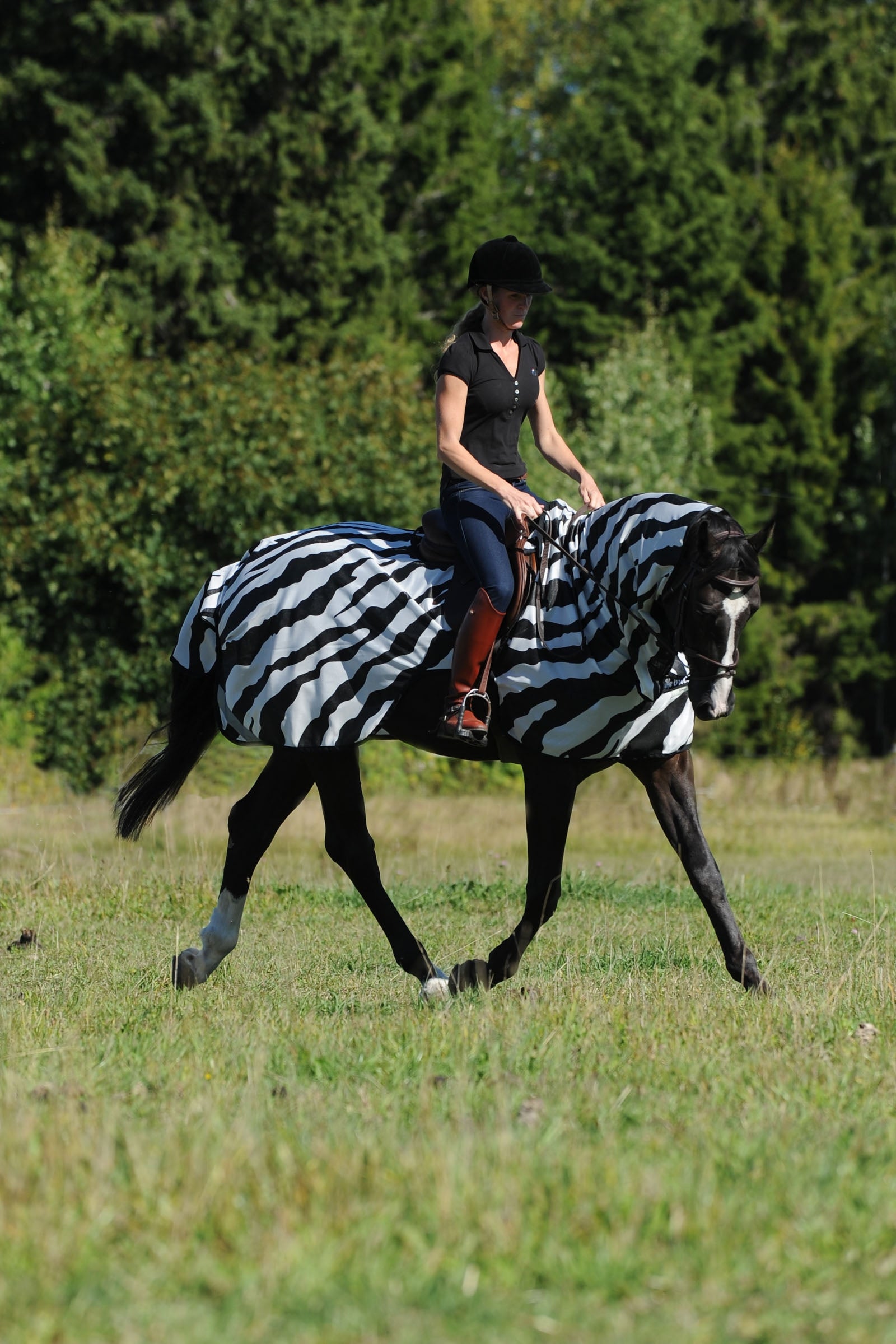 Bucas Buzz-Off Zebra Fly- and Riding Rug Horse Rugs