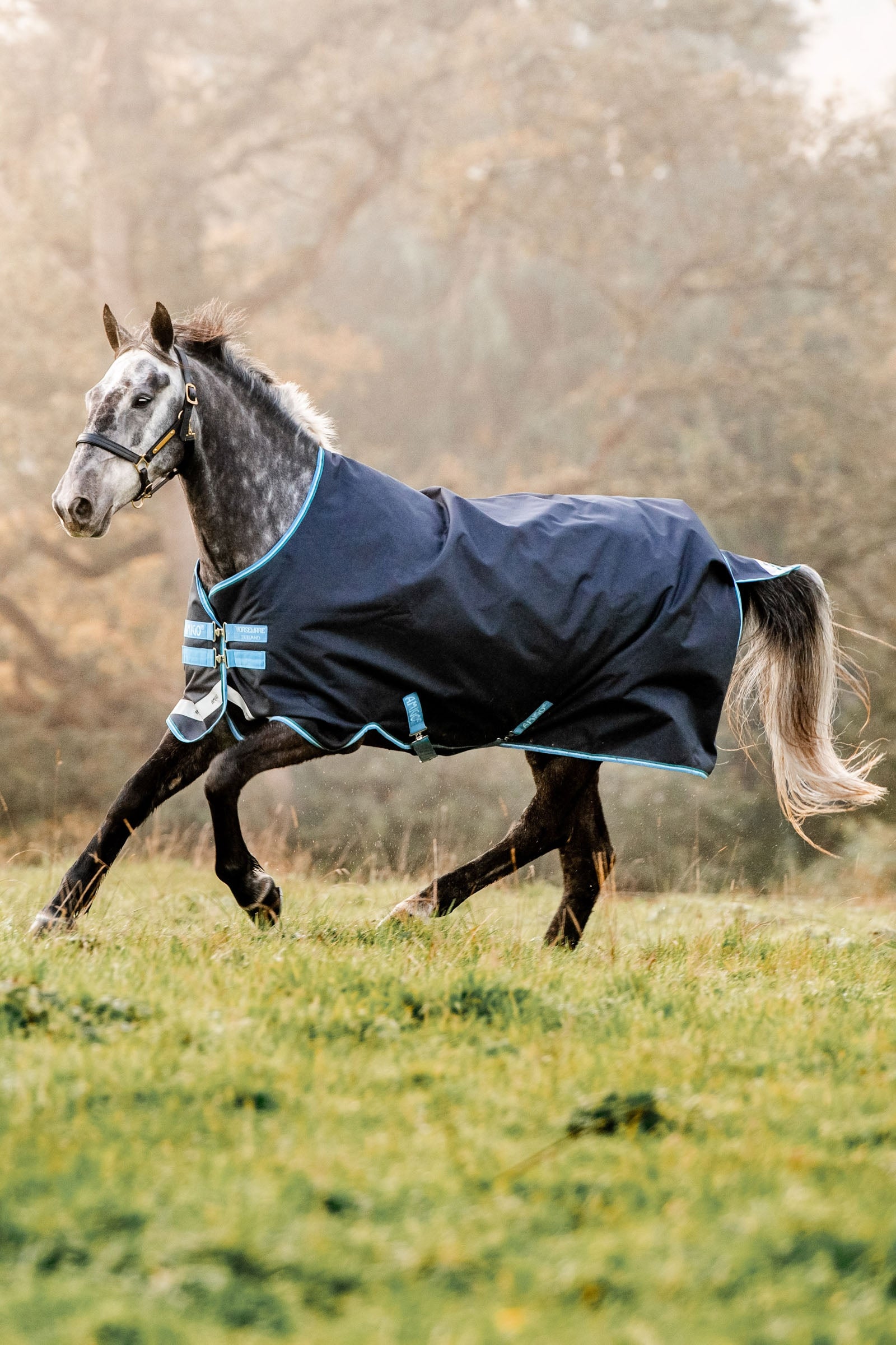 Horseware Amigo Bravo 12 kültéri takaró, 100g Lótakarók