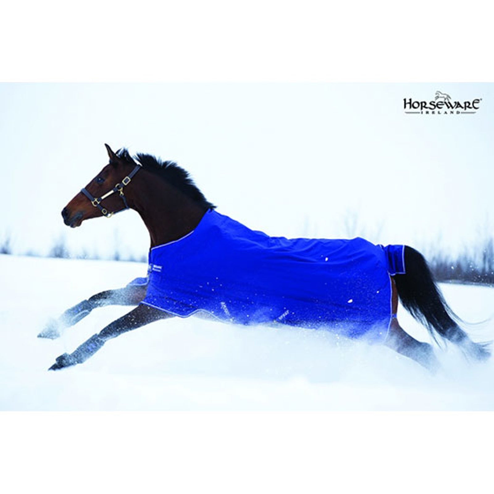 Horseware Amigo Hero-6 Lite, 0g Lótakarók