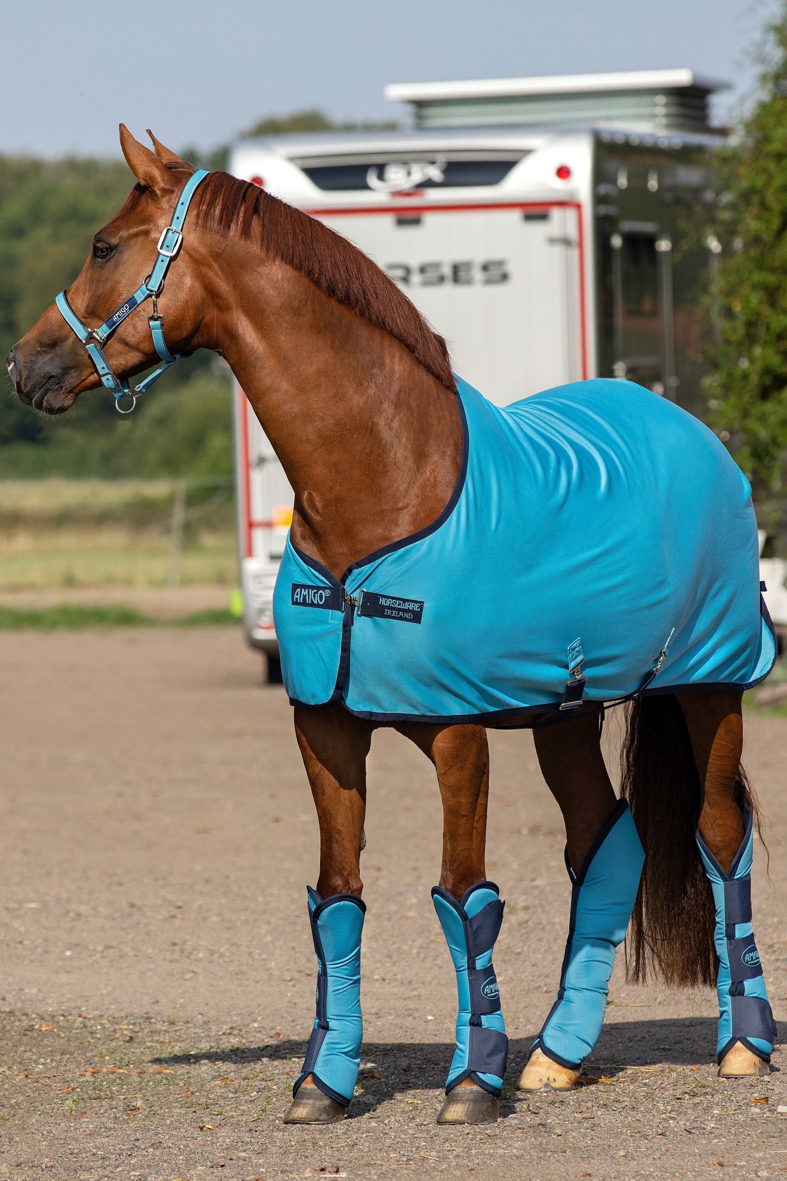 Horseware Amigo Dzsörzé Leszárító Takaró Lótakarók