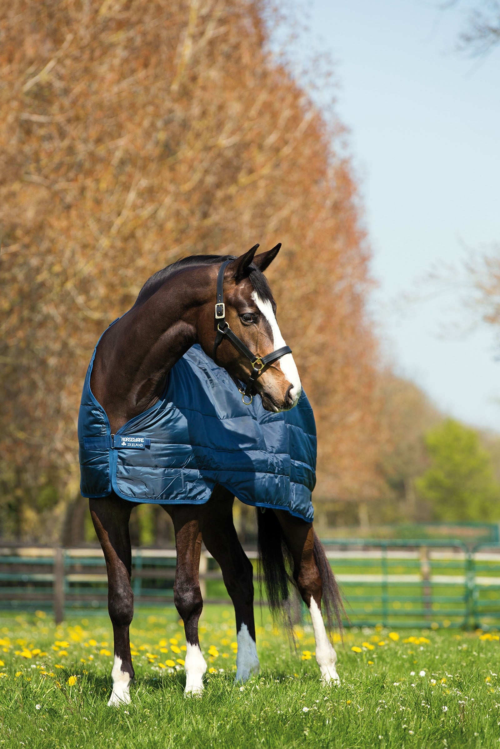 Horseware Liner alsótakaró, 200 g Lótakarók