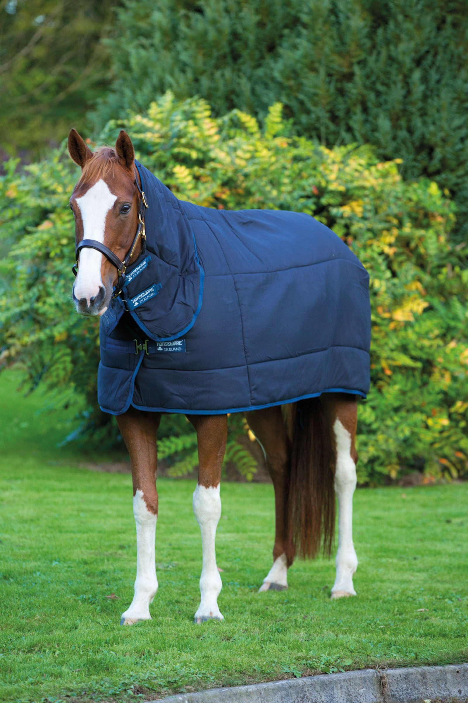 Horseware Plus alátét fix nyakkal, 300g Lótakarók