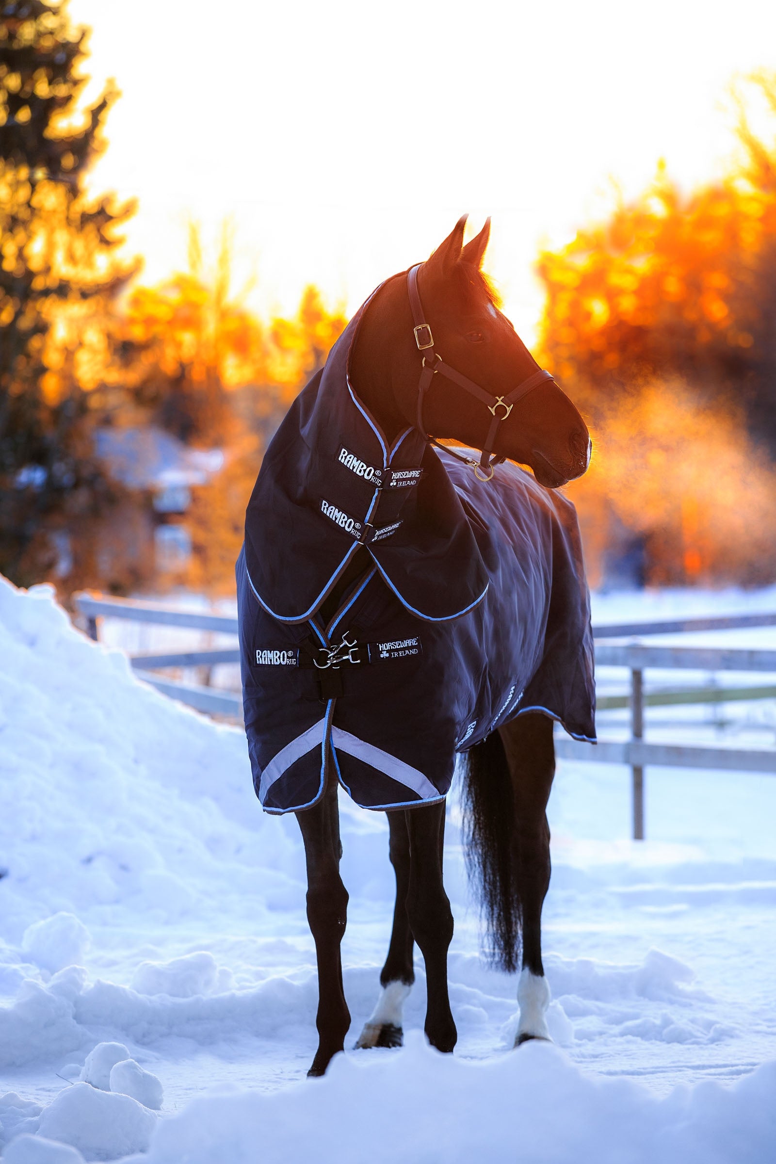 Horseware Rambo Duo Turnout szőnyeg, 100g levehető nyakkal és 100g + 300g szőnyeg alá Lótakarók