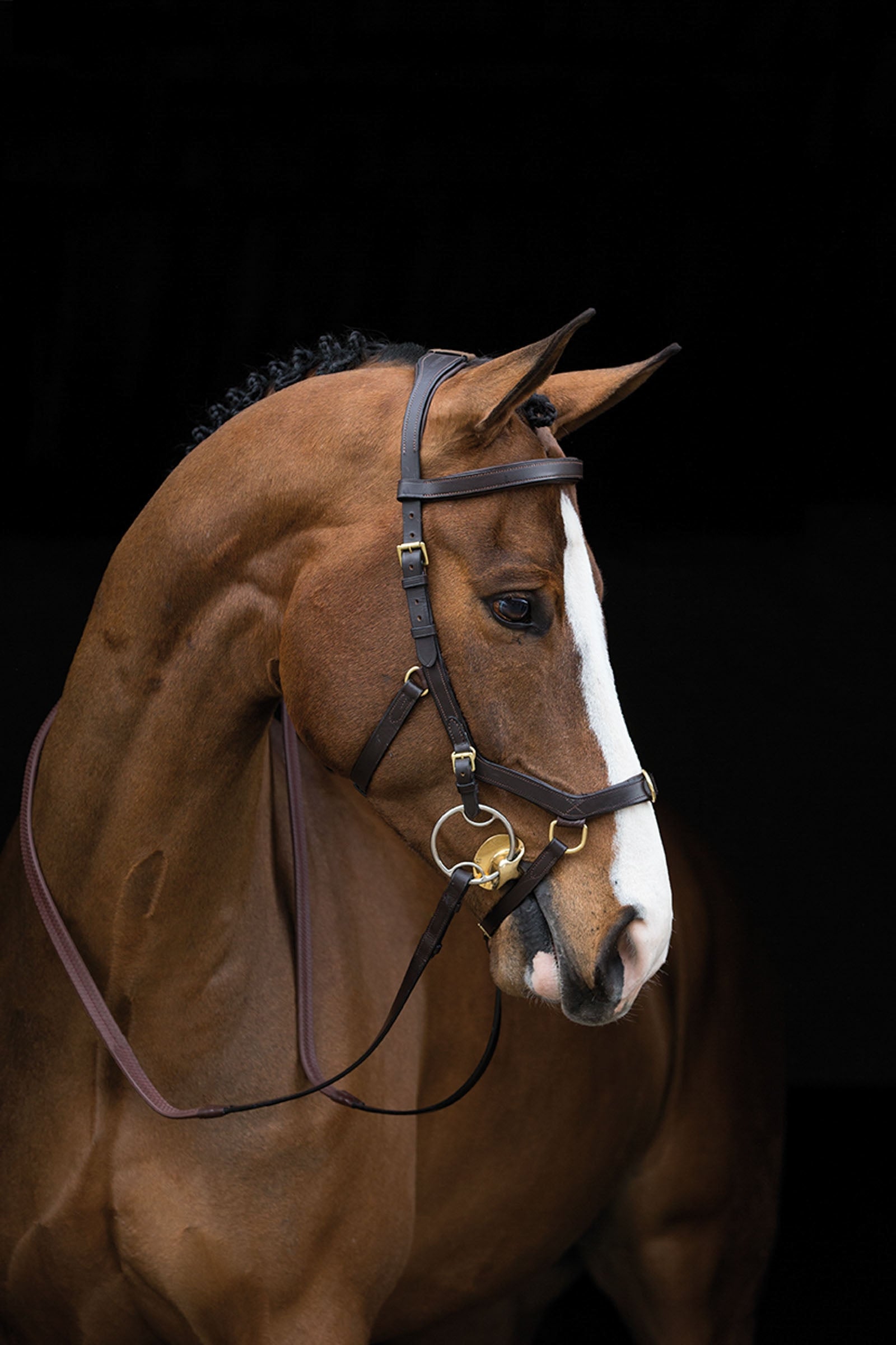 Horseware Rambo Micklem Multi Kantár Kantárok & Szárak