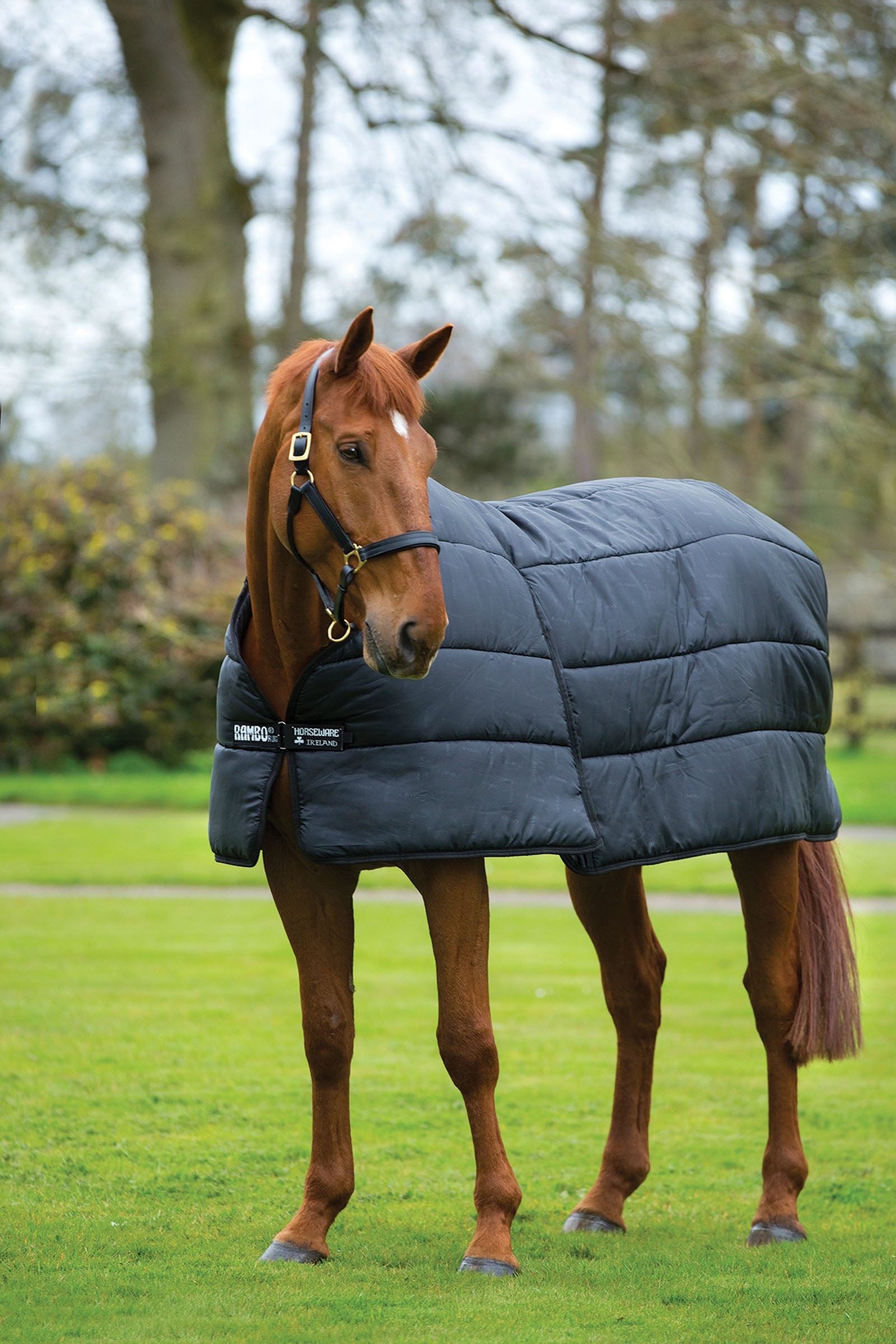 Horseware Rambo Optimo Alátét Takaró, 200g Lótakarók