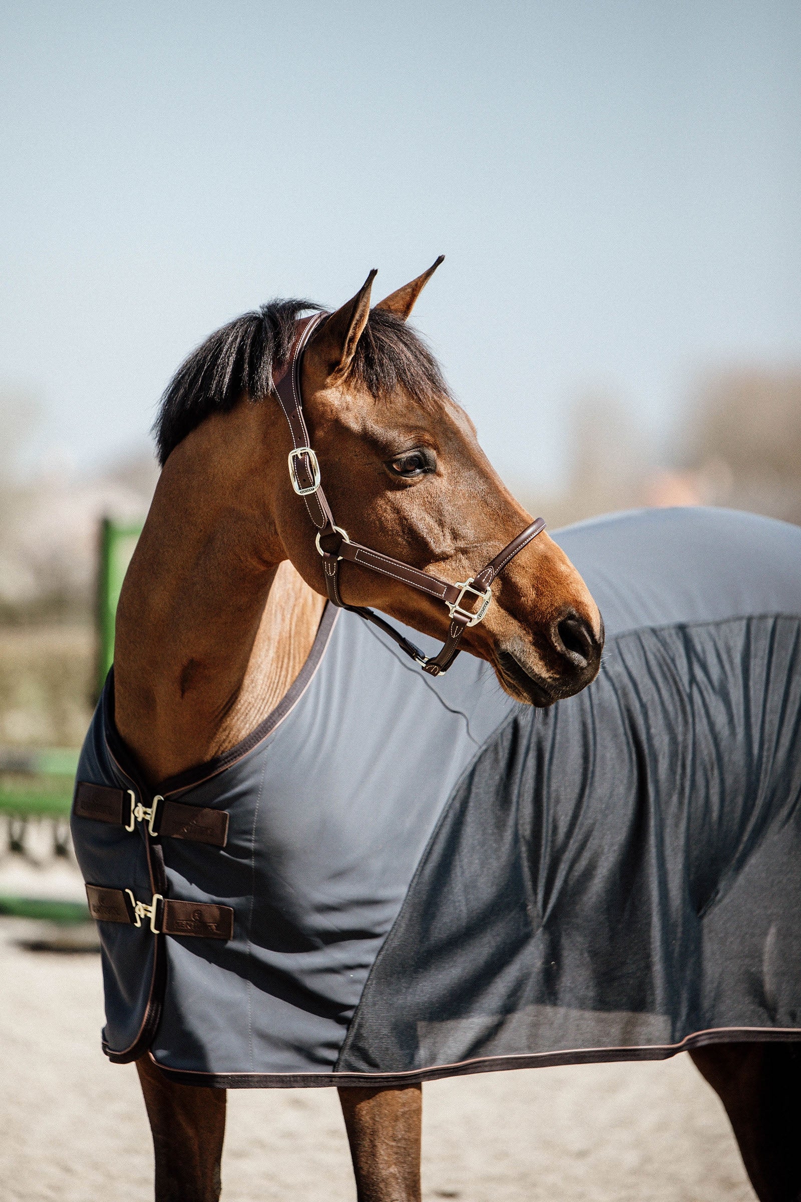 Kentucky Horsewear Softshell leszárító takaró Lótakarók