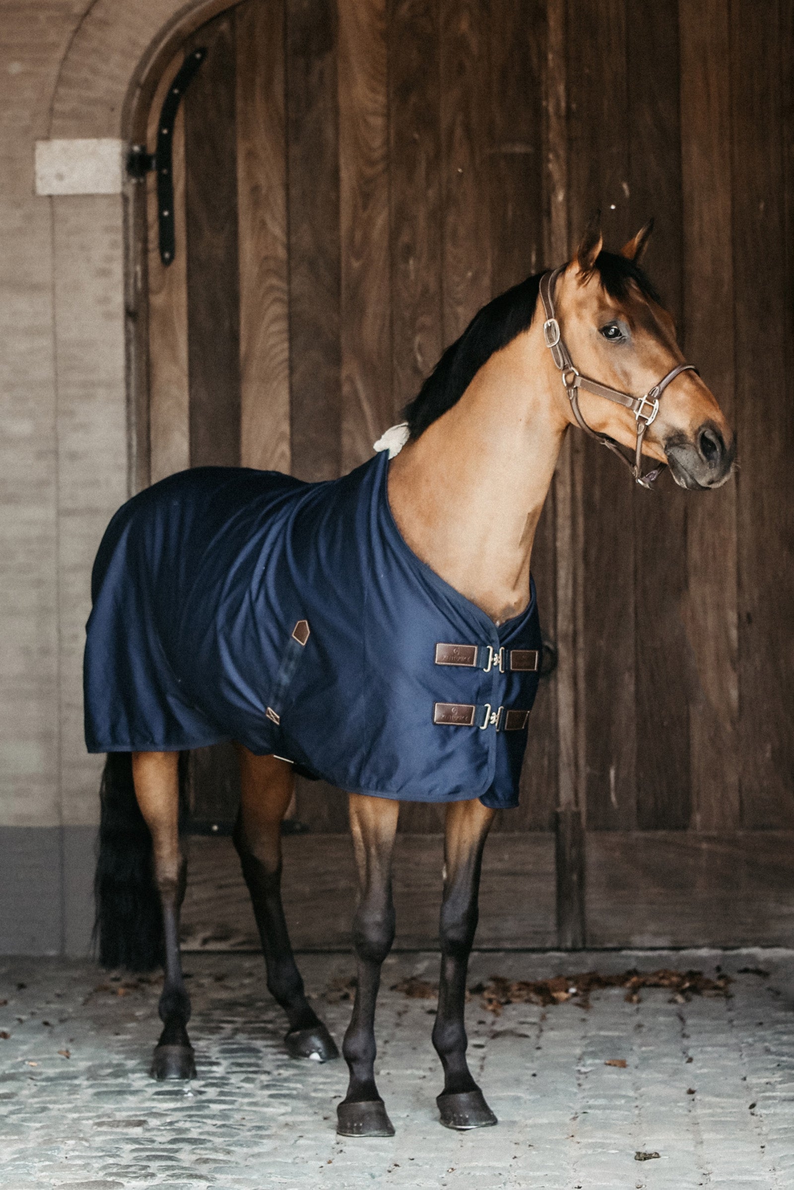 Kentucky Horsewear Cotton Cooler Lótakarók