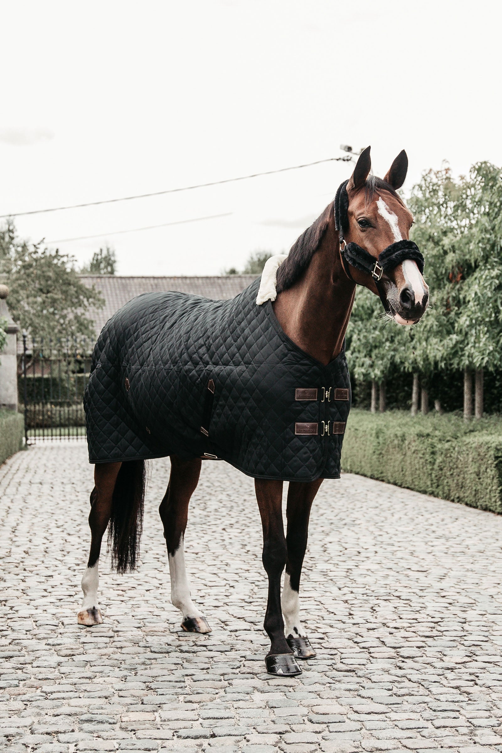 Kentucky Horsewear Istállótakaró, 400g Lótakarók