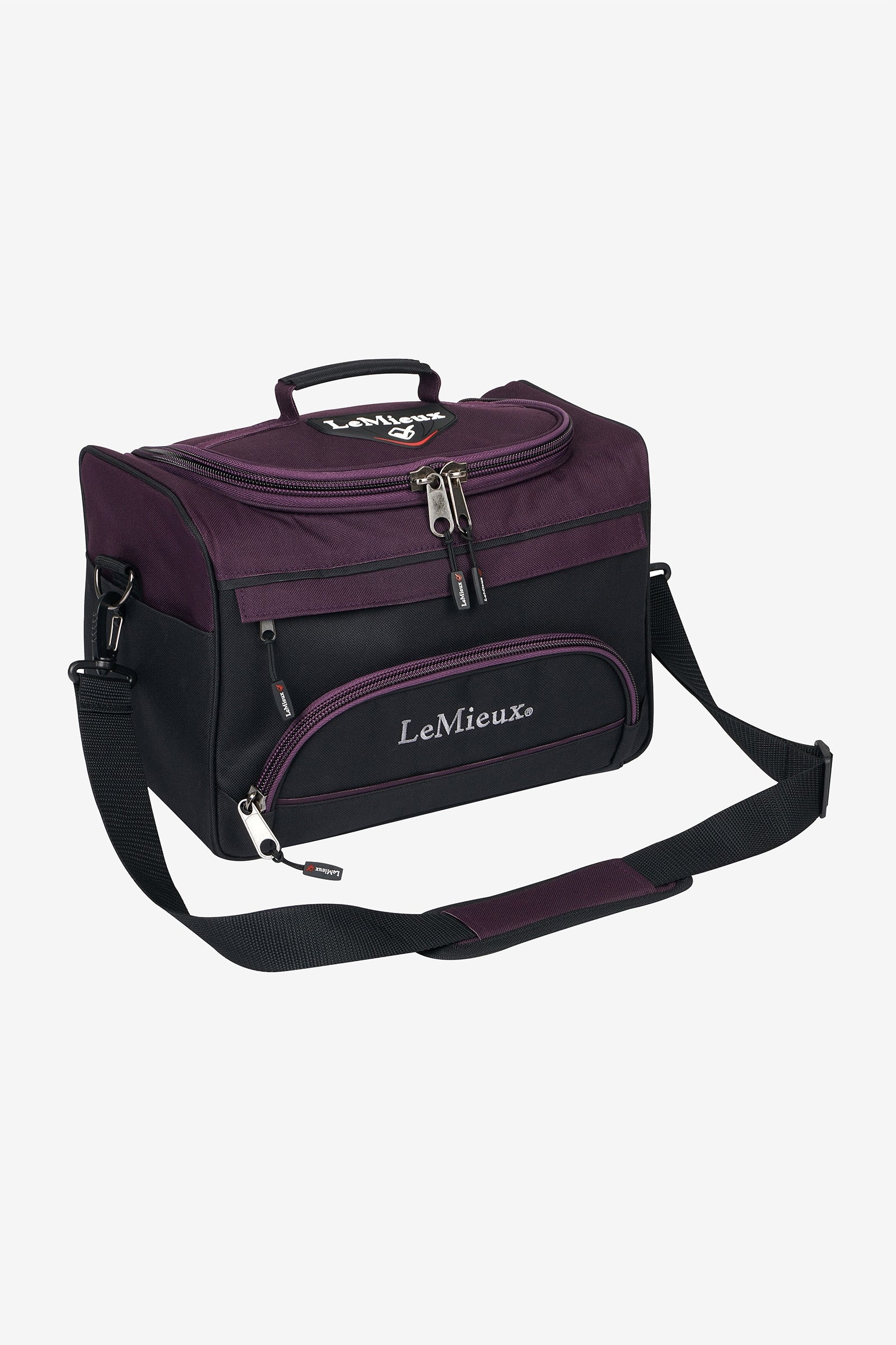 Alt Tag fallback text for IMAGE