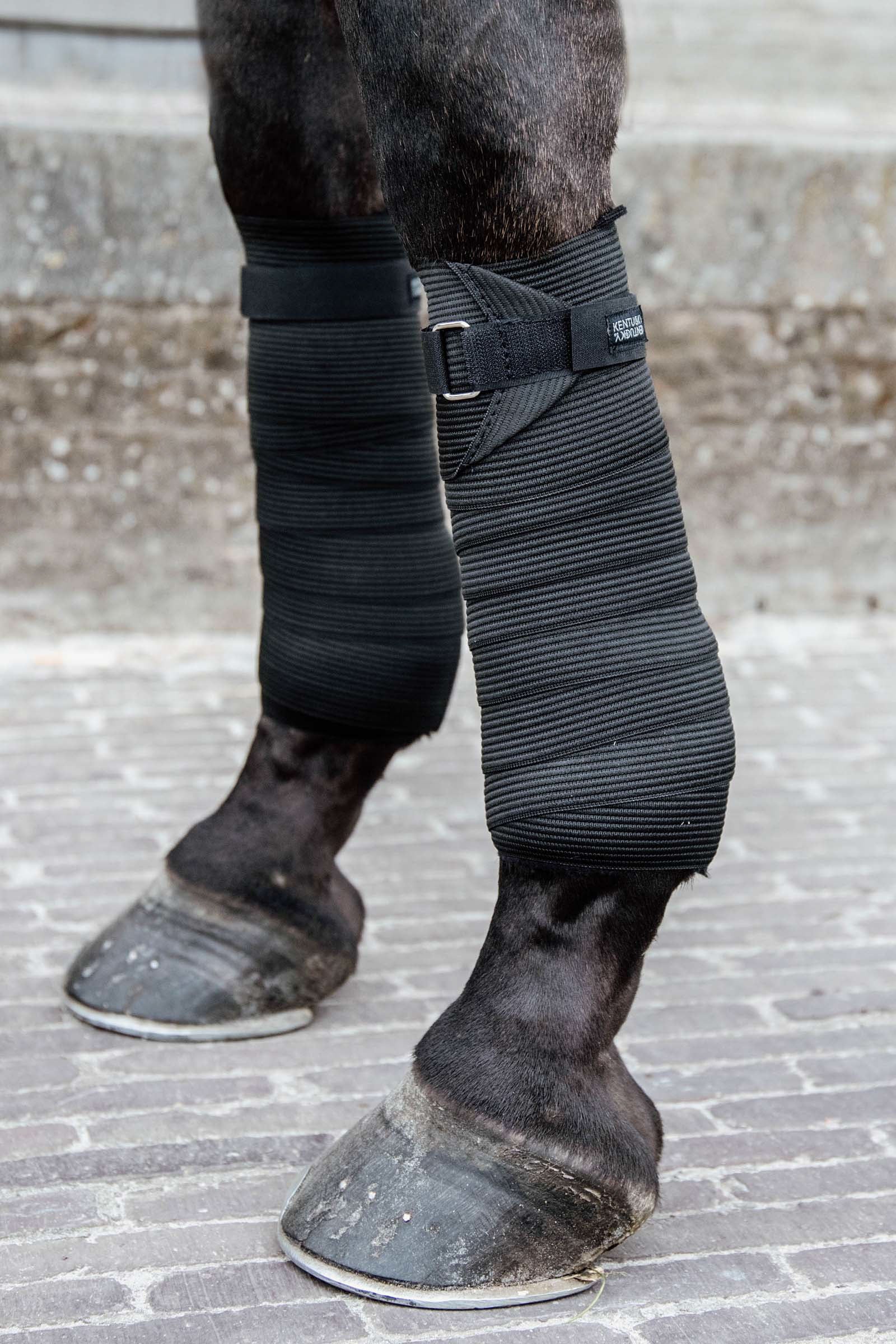 Kentucky Horsewear Polar Fleece & rugalmas kötés Leg Protection & Hoof Protection for Horses