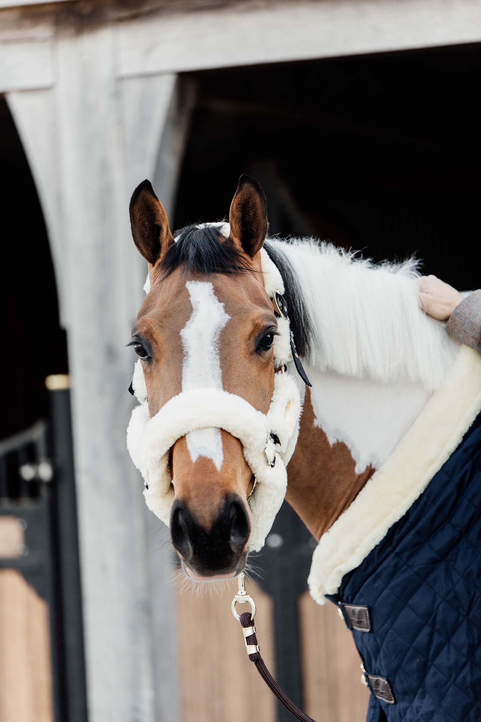 Kentucky Horsewear Shipping Halter With Sheepskin Halters & Leads
