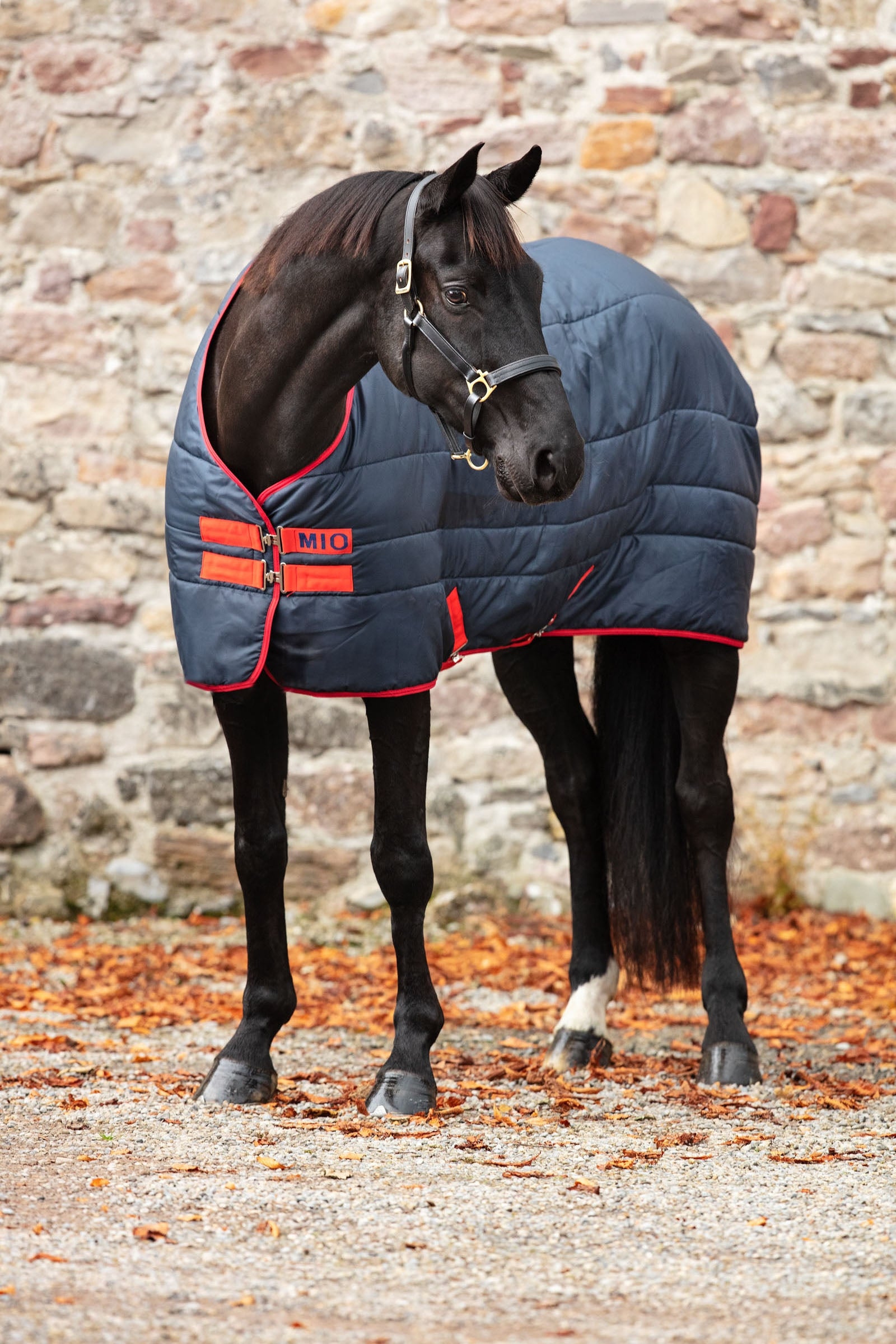 Horseware Mio Insulator istálló takaró, 150g Lótakarók