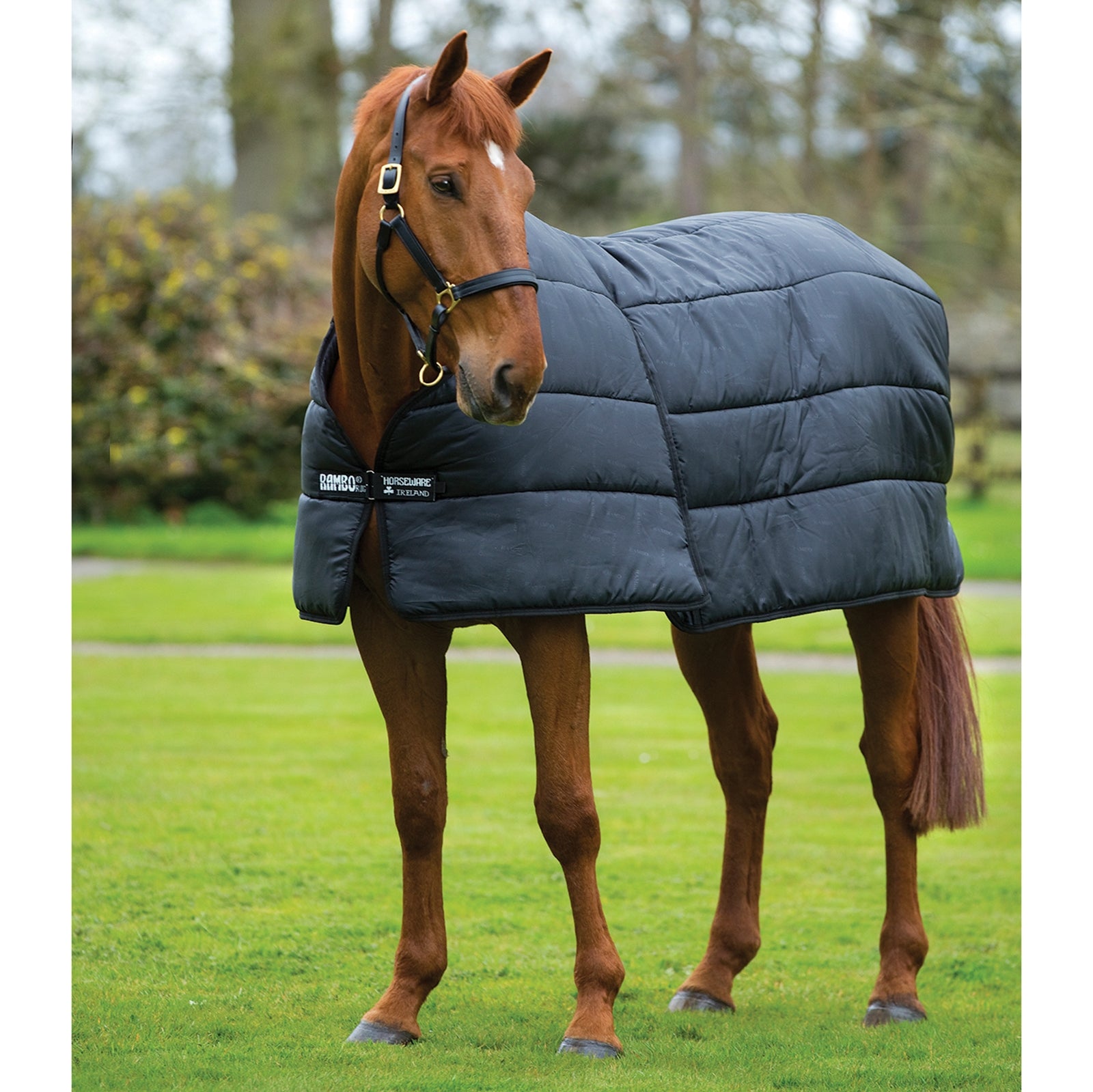 Horseware Rambo Optimo Liner Under Rug, 300g Horse Rugs
