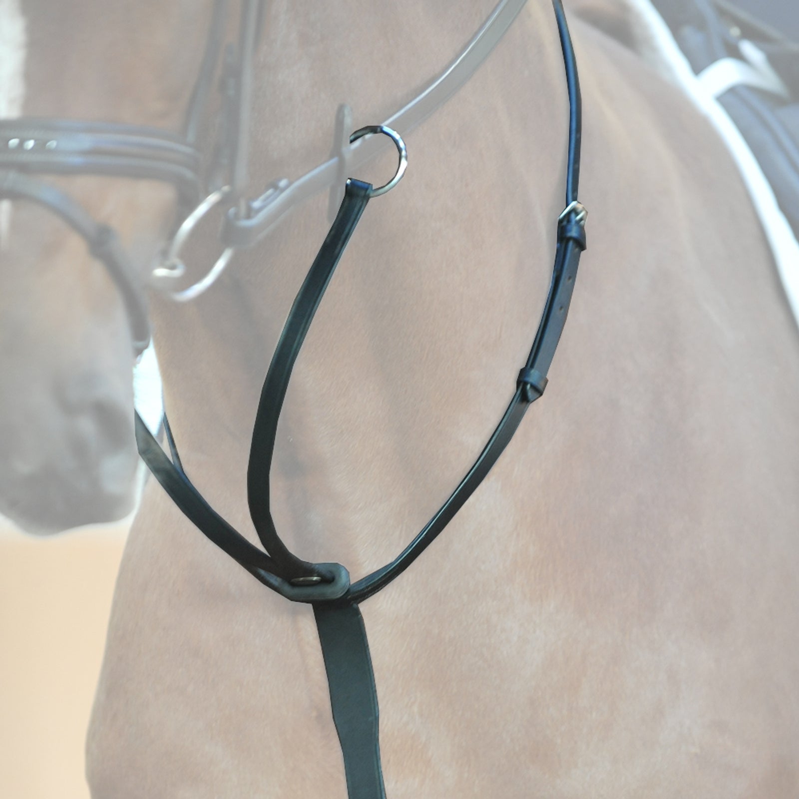 Kavalkade Martingale Bridles & Reins