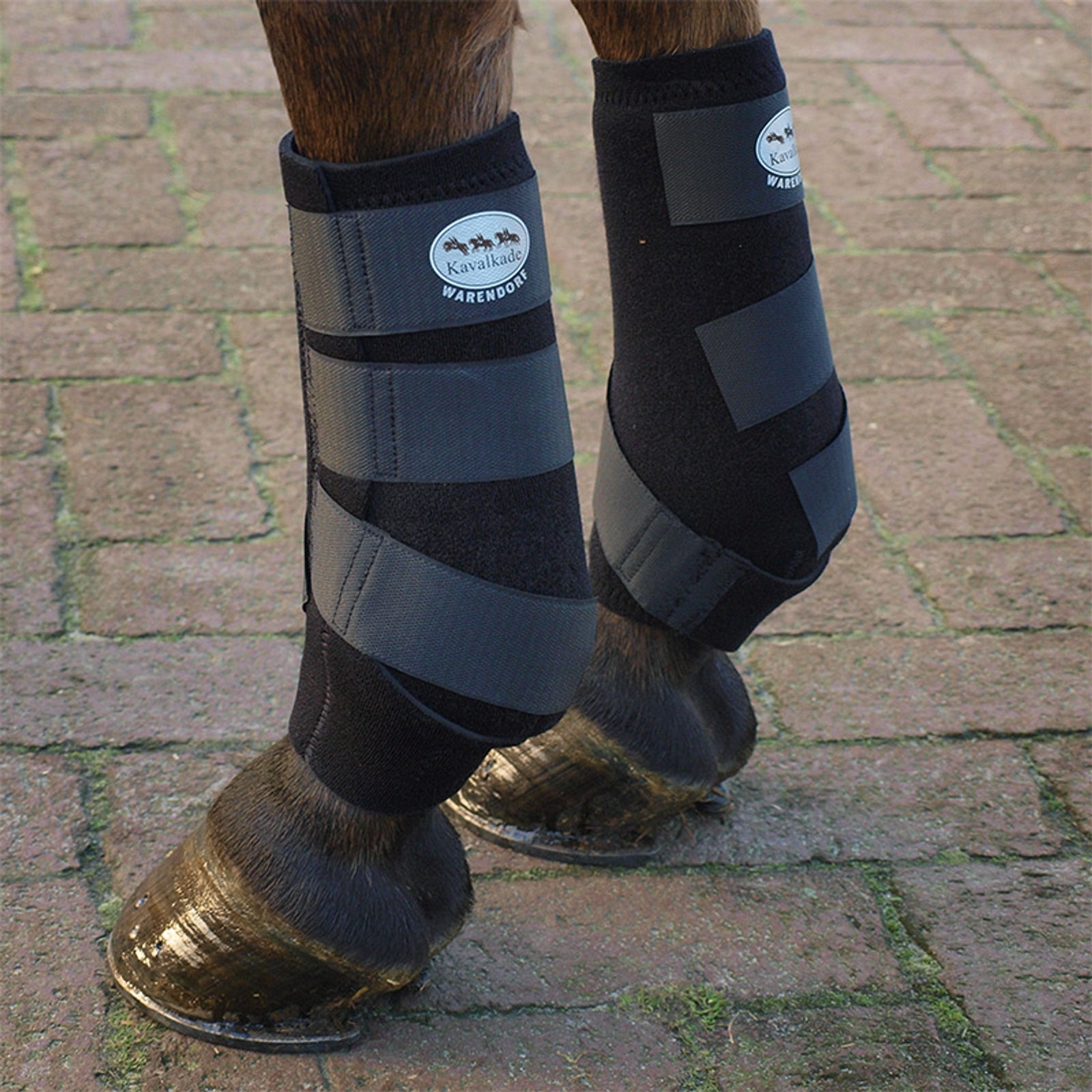 Kavalkade neoprén wrap csizma Leg Protection & Hoof Protection for Horses