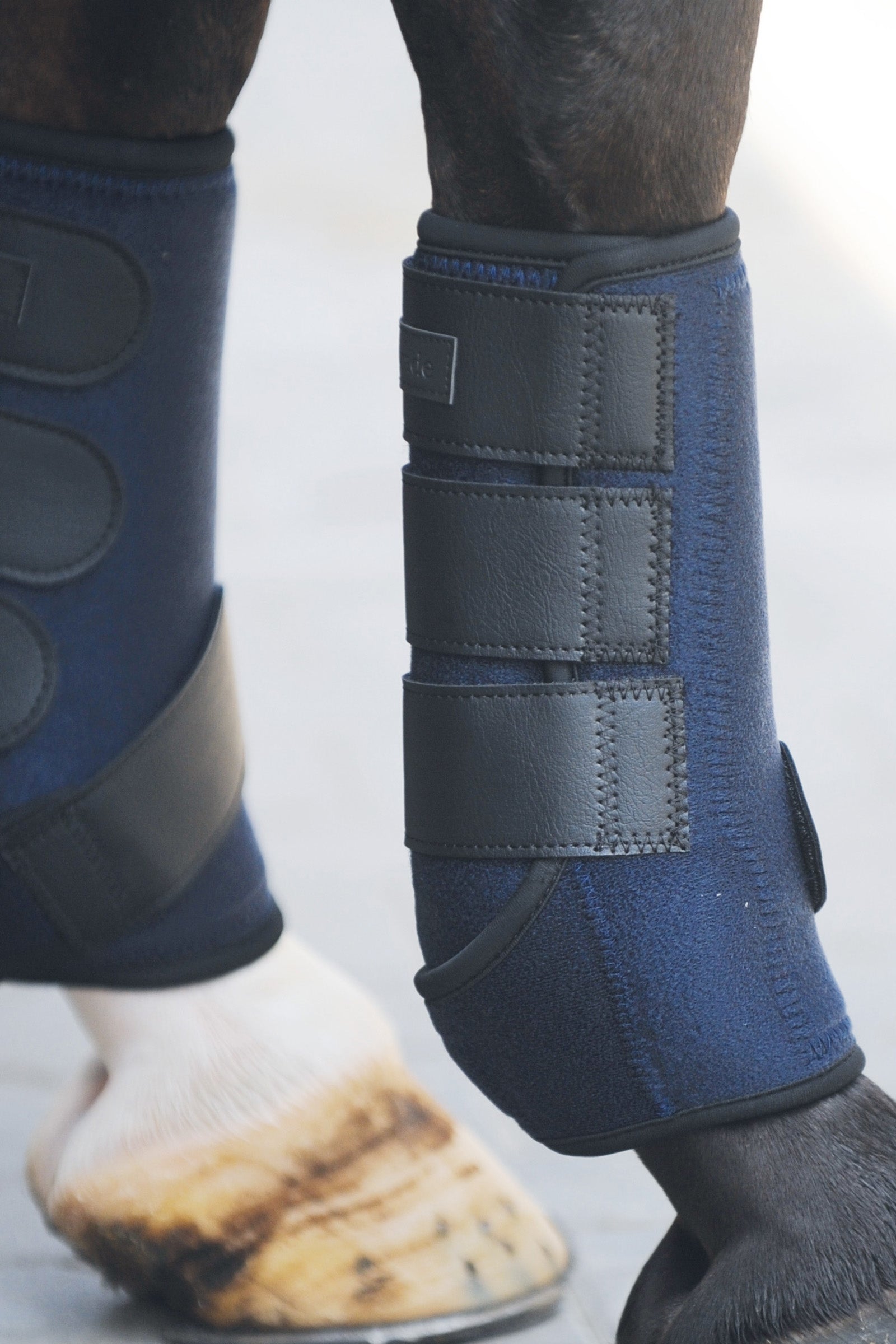 Kavalkade neoprén wrap csizma Leg Protection & Hoof Protection for Horses