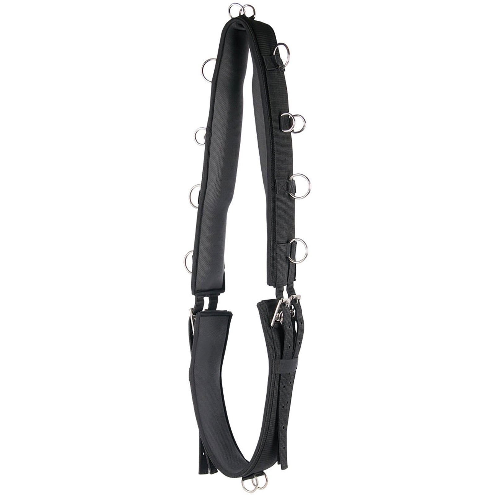 Harry's Horse Lunging girth luxe Horse Training
