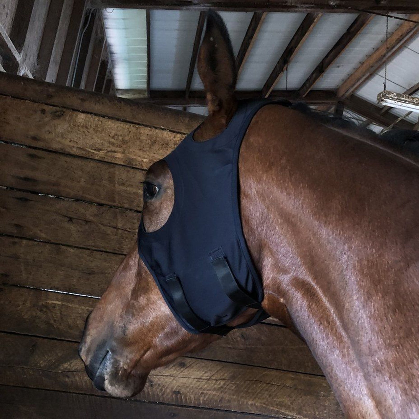 Fenwick Equestrian USA Fenwick folyékony titán maszk, tépőzáras Ügeto Felszerelés