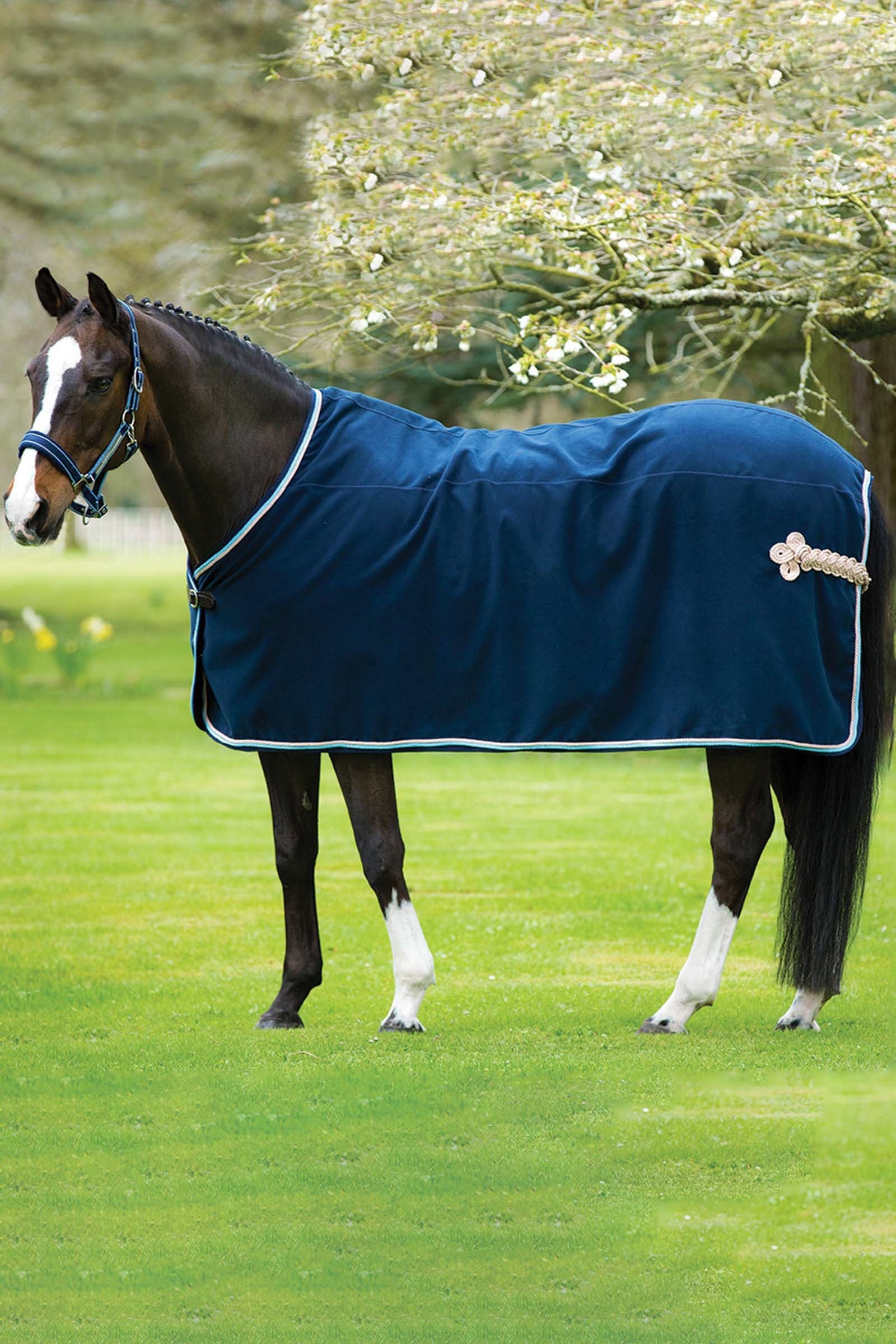 Horseware Rambo Show szőnyeg Lótakarók