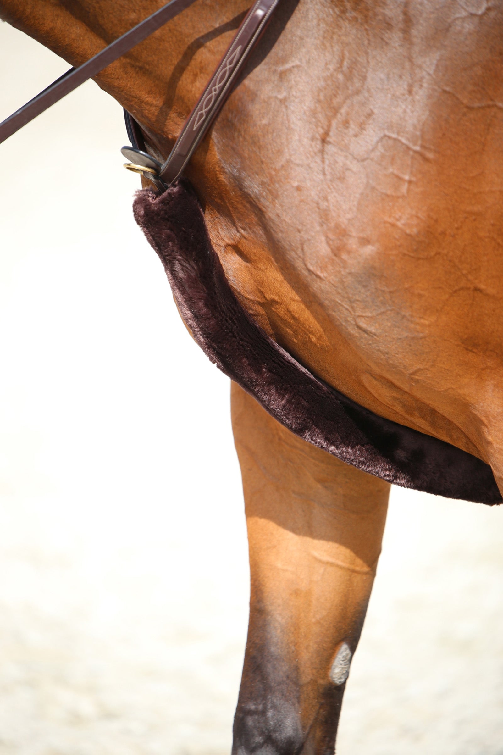 Kentucky Horsewear báránybőr mellvédő burkolat Kantárok & Szárak