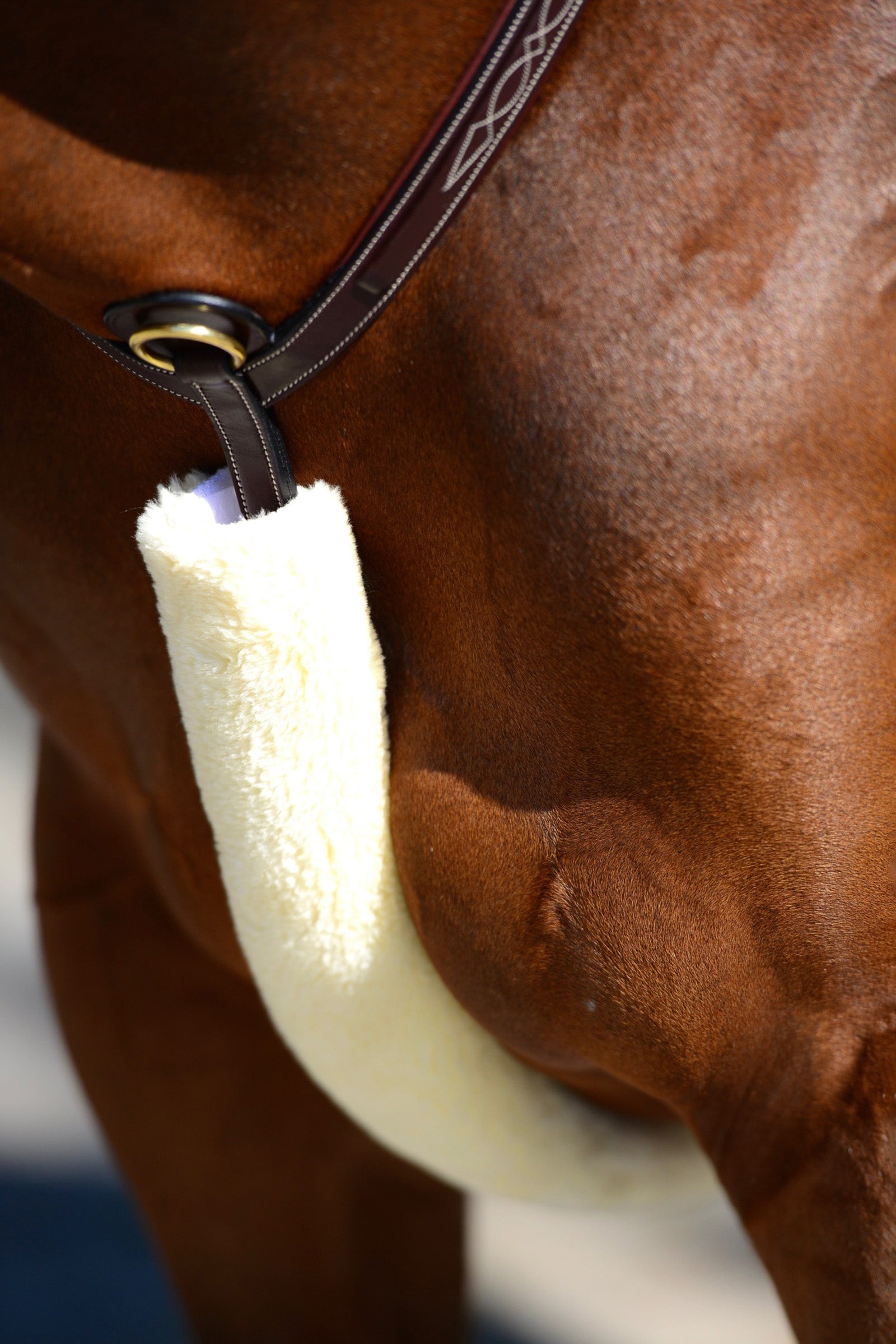Kentucky Horsewear báránybőr mellvédő burkolat Kantárok & Szárak