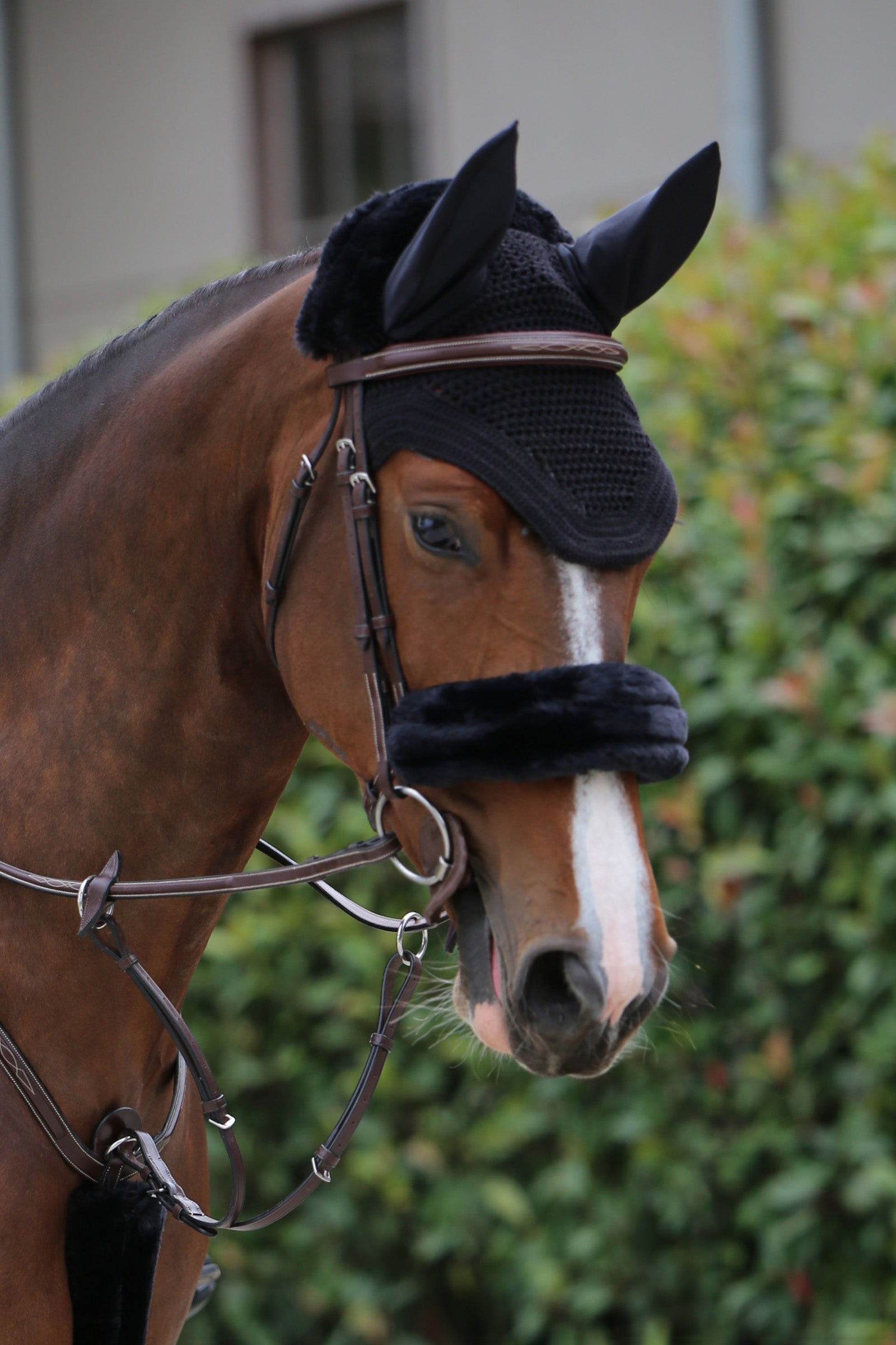 Kentucky Horsewear báránybőr orrszíj huzat Kantárok & Szárak