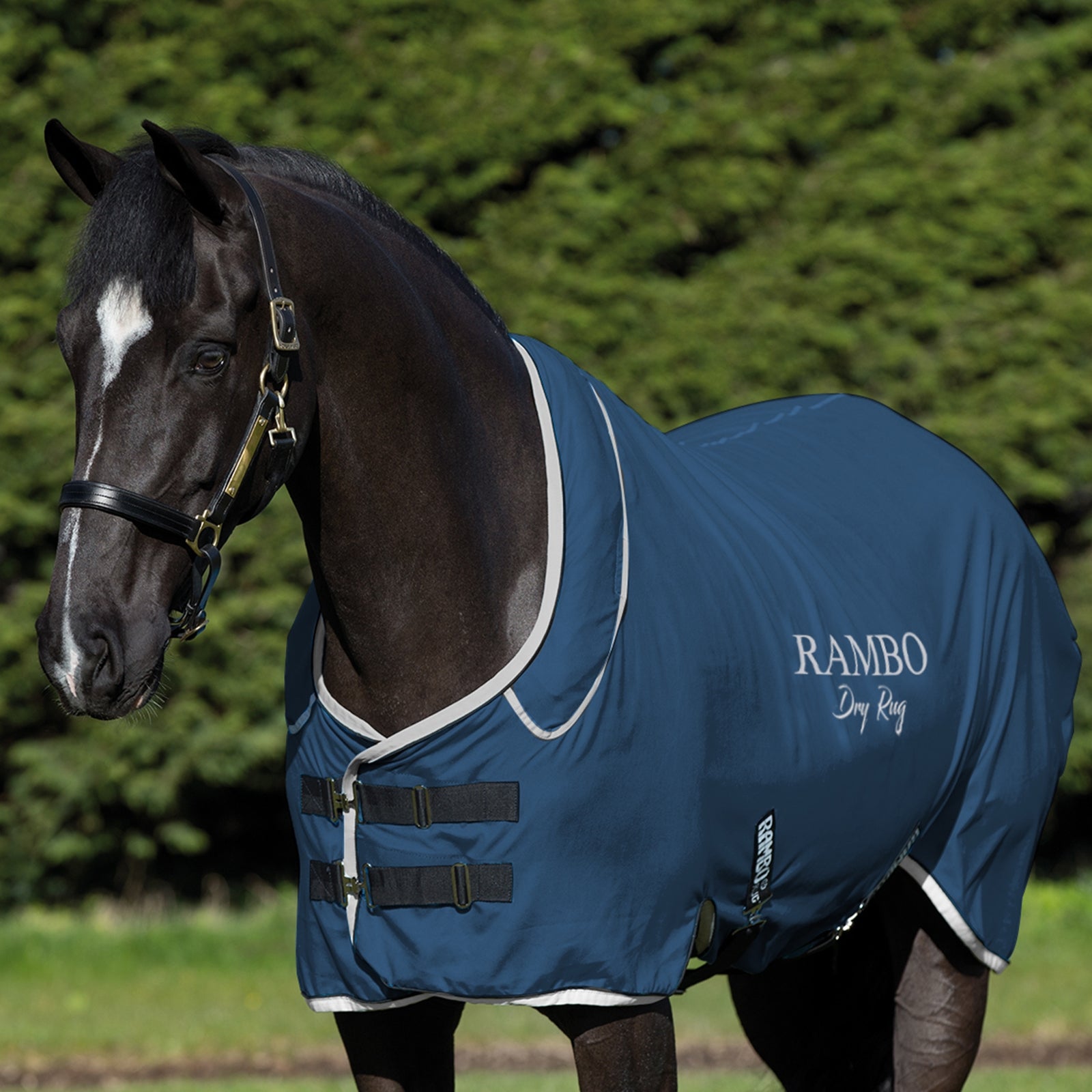 Horseware Rambo Dry Rug Supreme Lótakarók