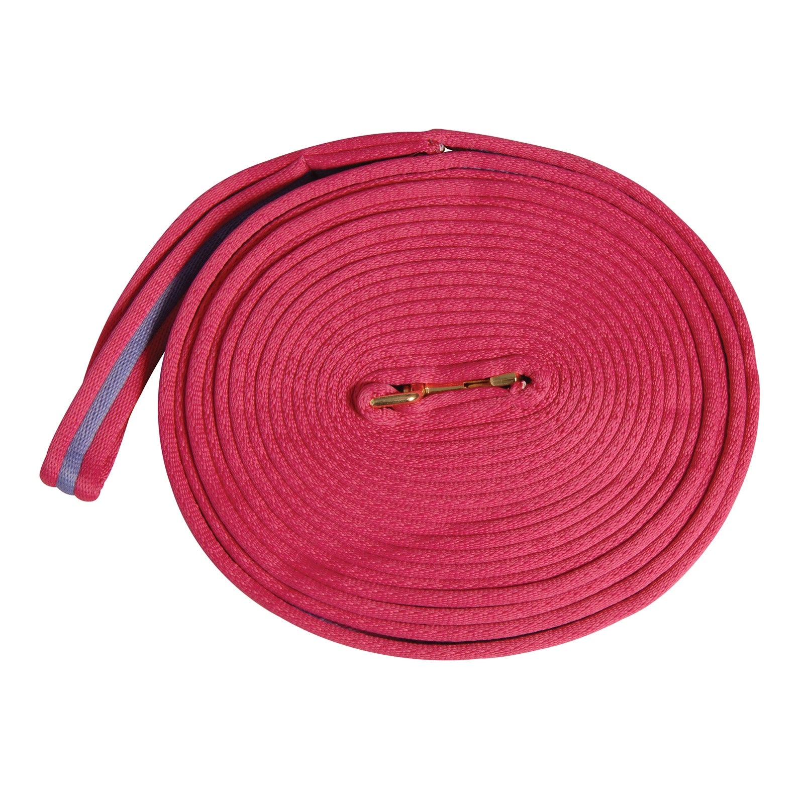 Kincade Two Tone Padded Lunging Rein 8m Horse Training
