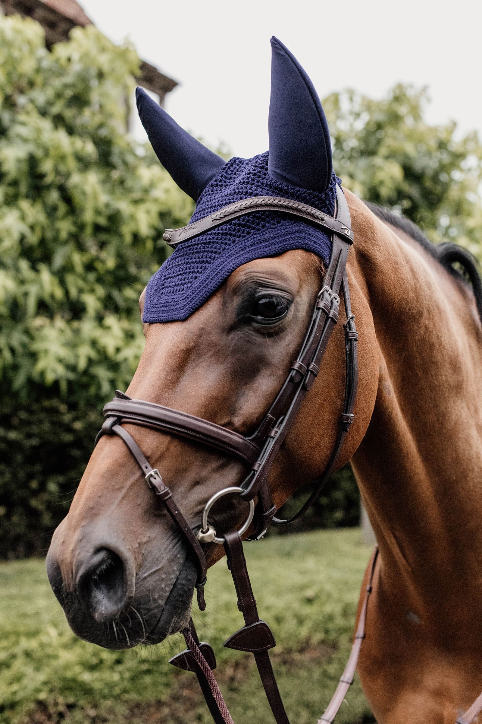 Kentucky Horsewear Fly Veil Wellington Soundless Nyeregalátétek