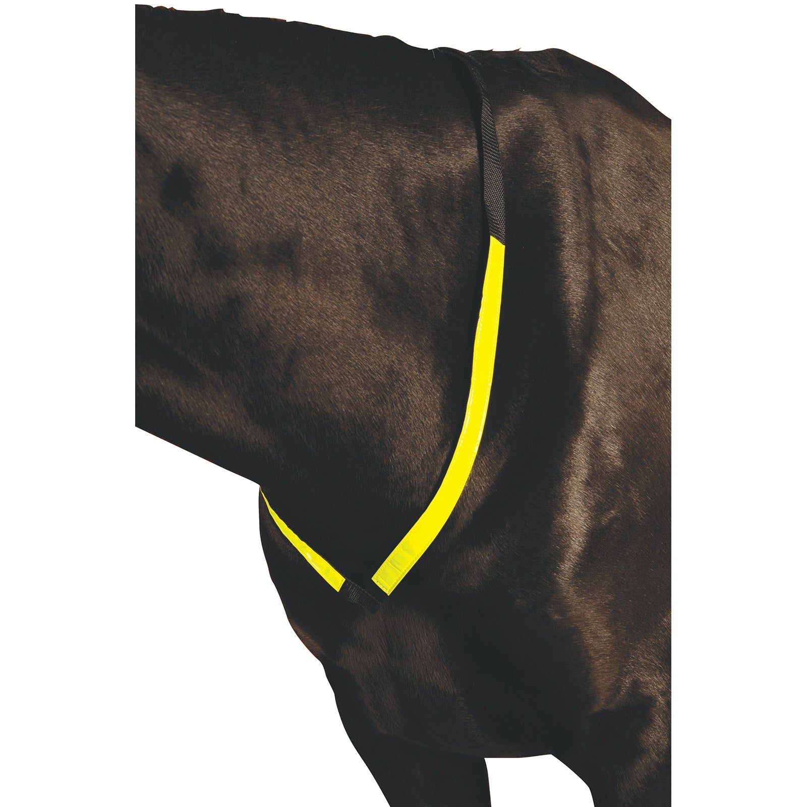 Roma Reflective Breastplate Kantárok & Szárak