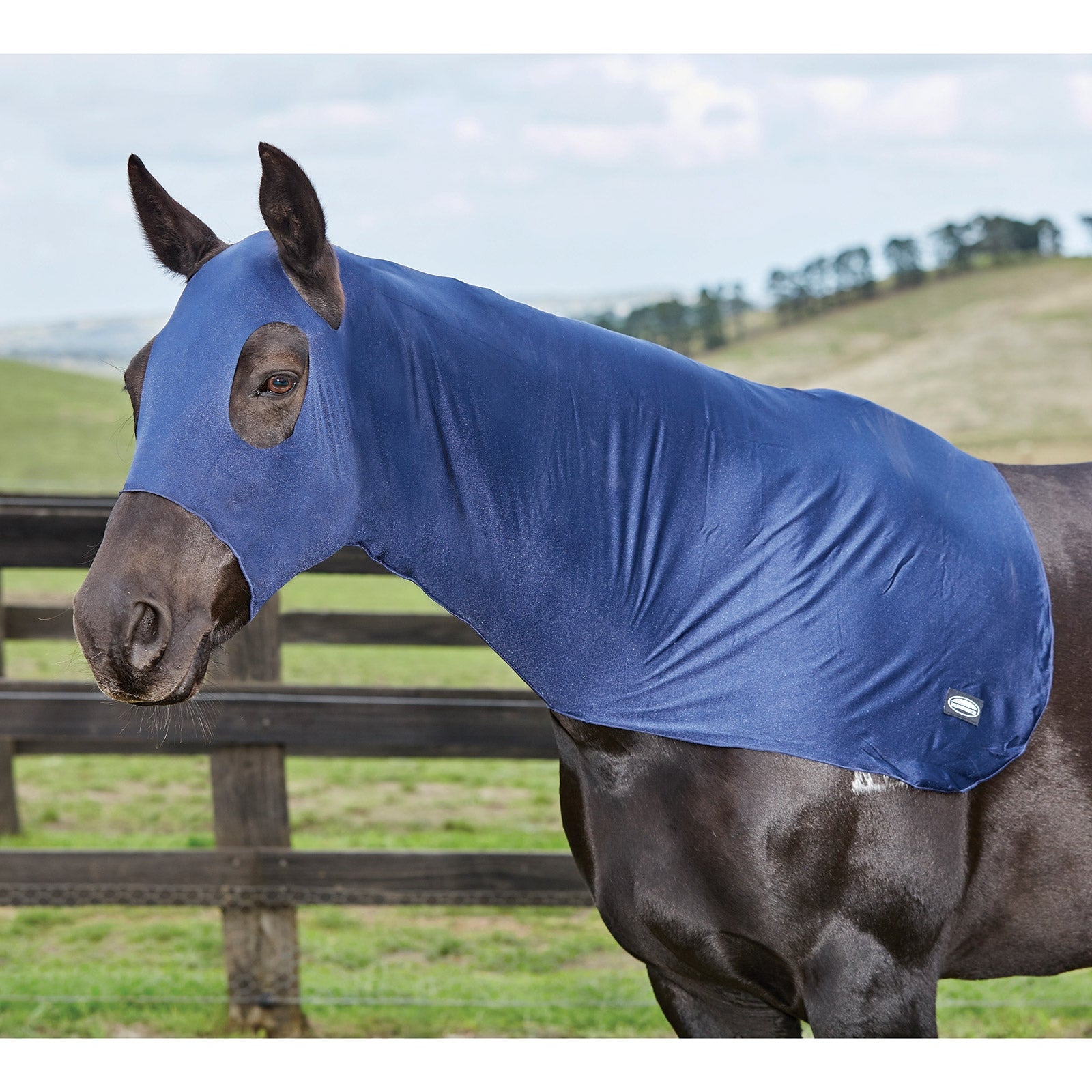 Weatherbeeta Stretch Hood Lótakarók
