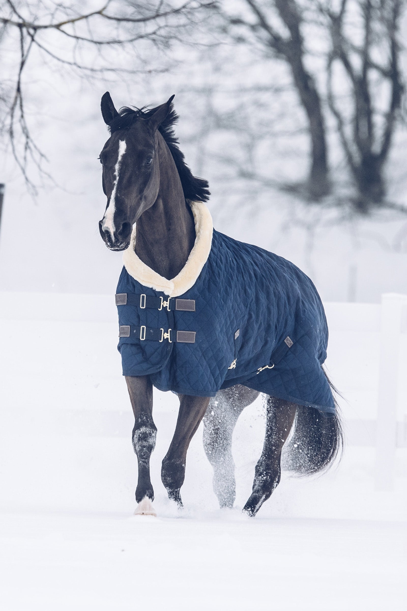 Kentucky Horsewear Show Takaró, 160g Lótakarók