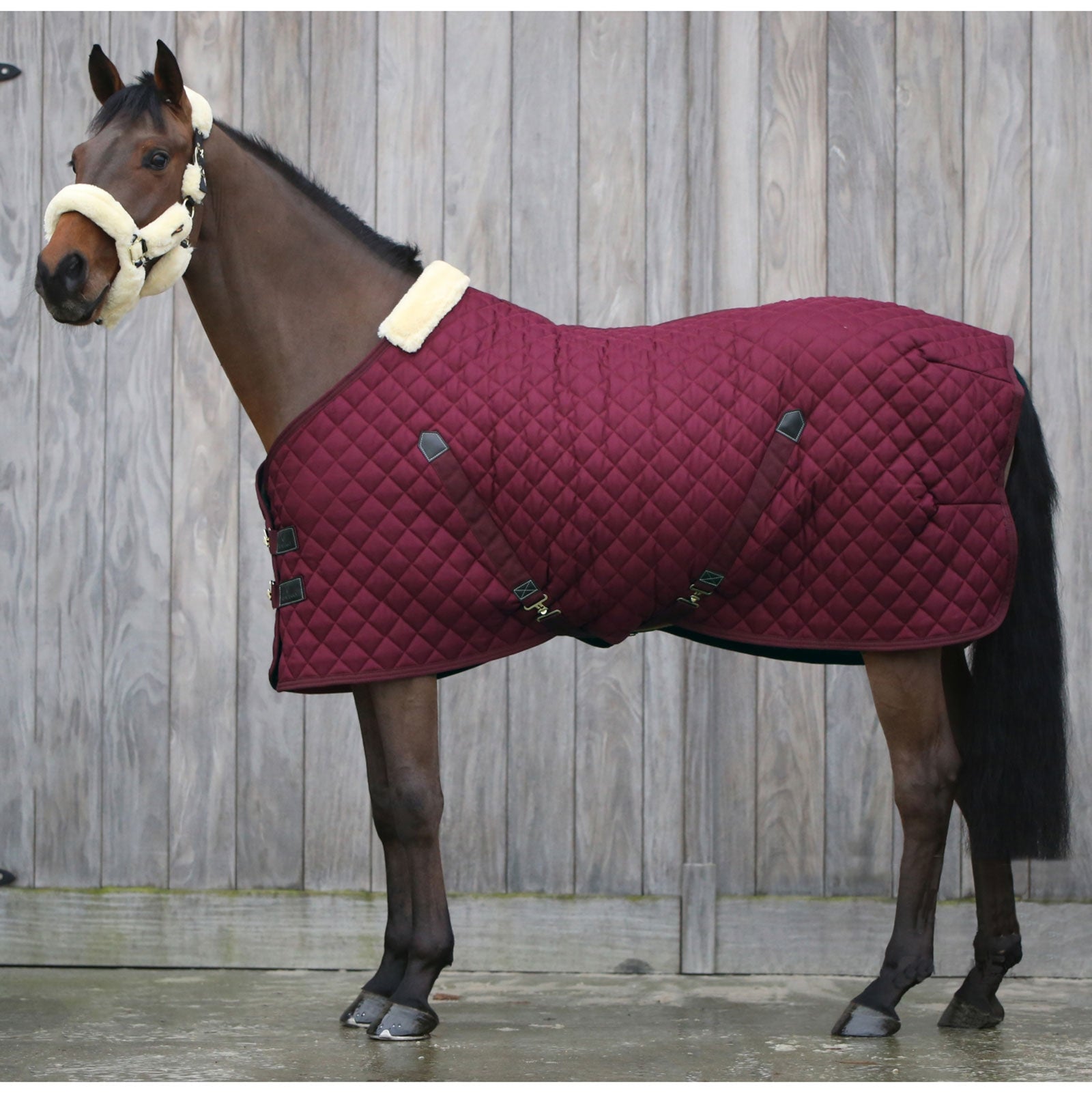 Kentucky Horsewear Stable Rug, 400g Horse Rugs